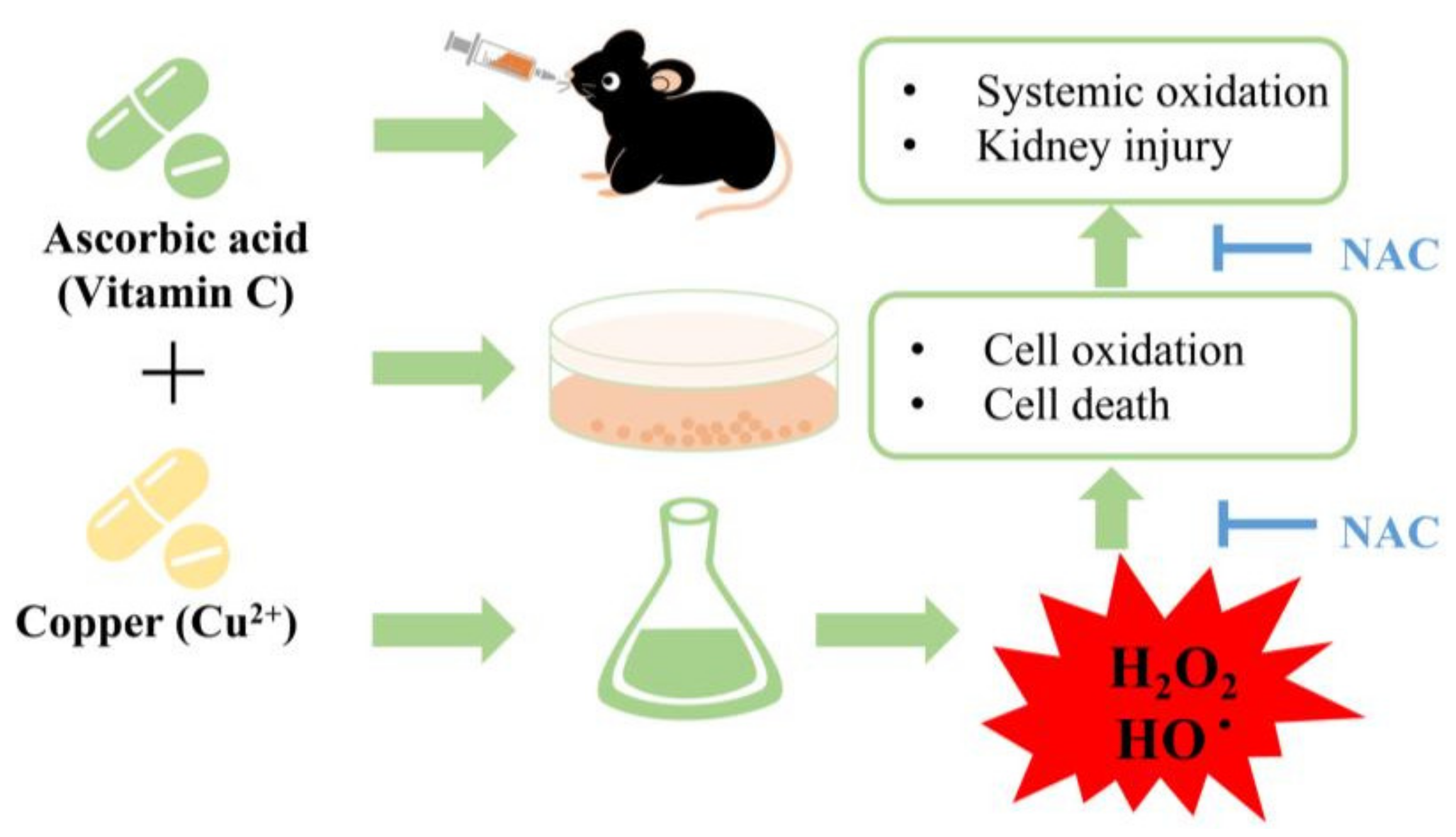 Biomolecules 13 00143 g008