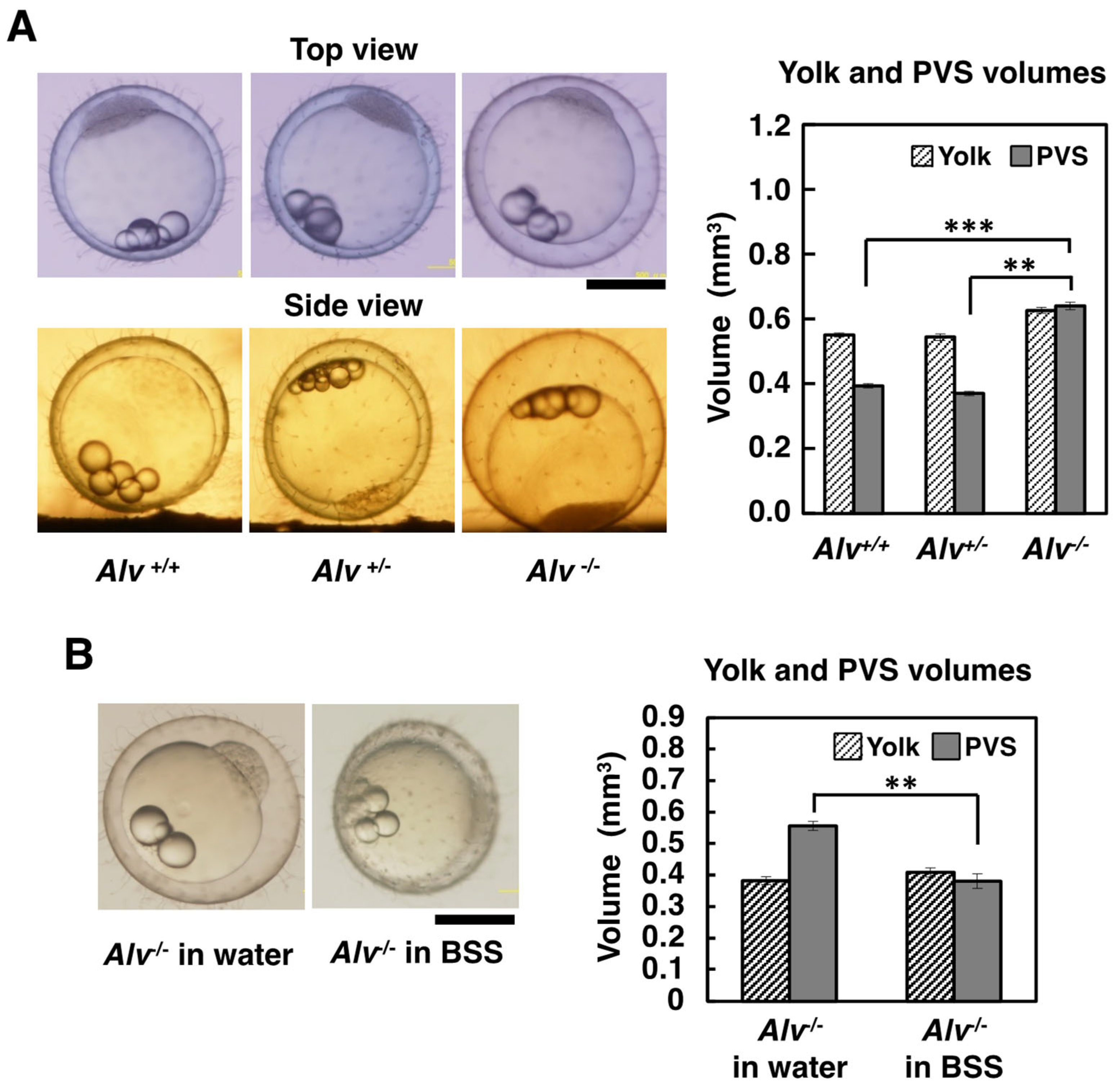 Biomolecules 13 00146 g003