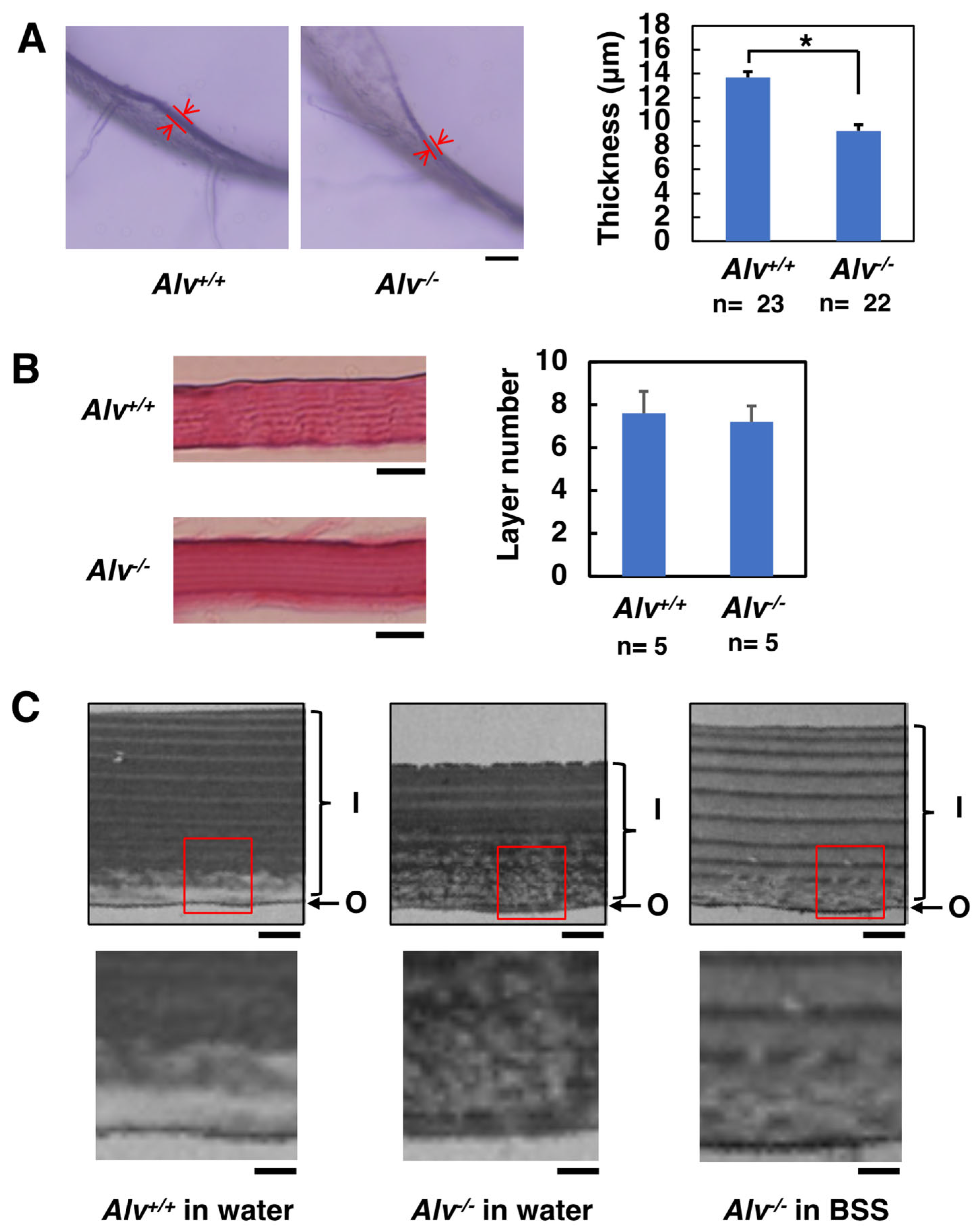Biomolecules 13 00146 g006