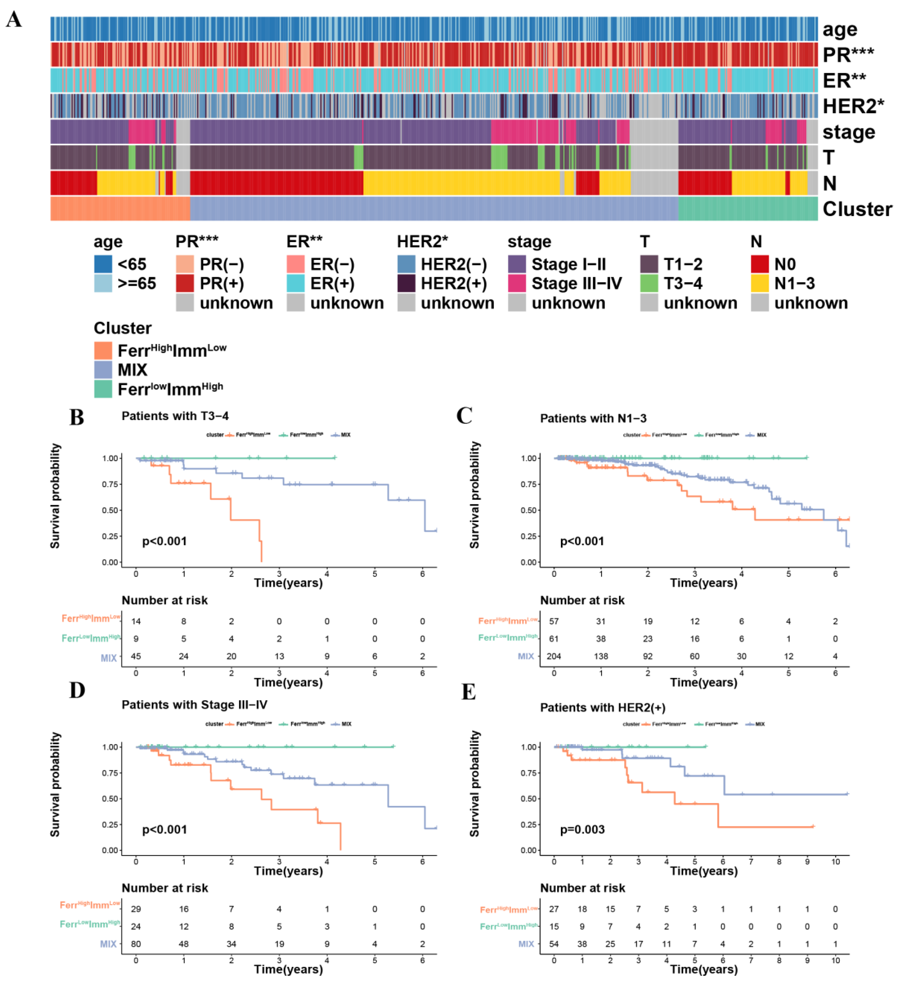 Biomolecules 13 00147 g003