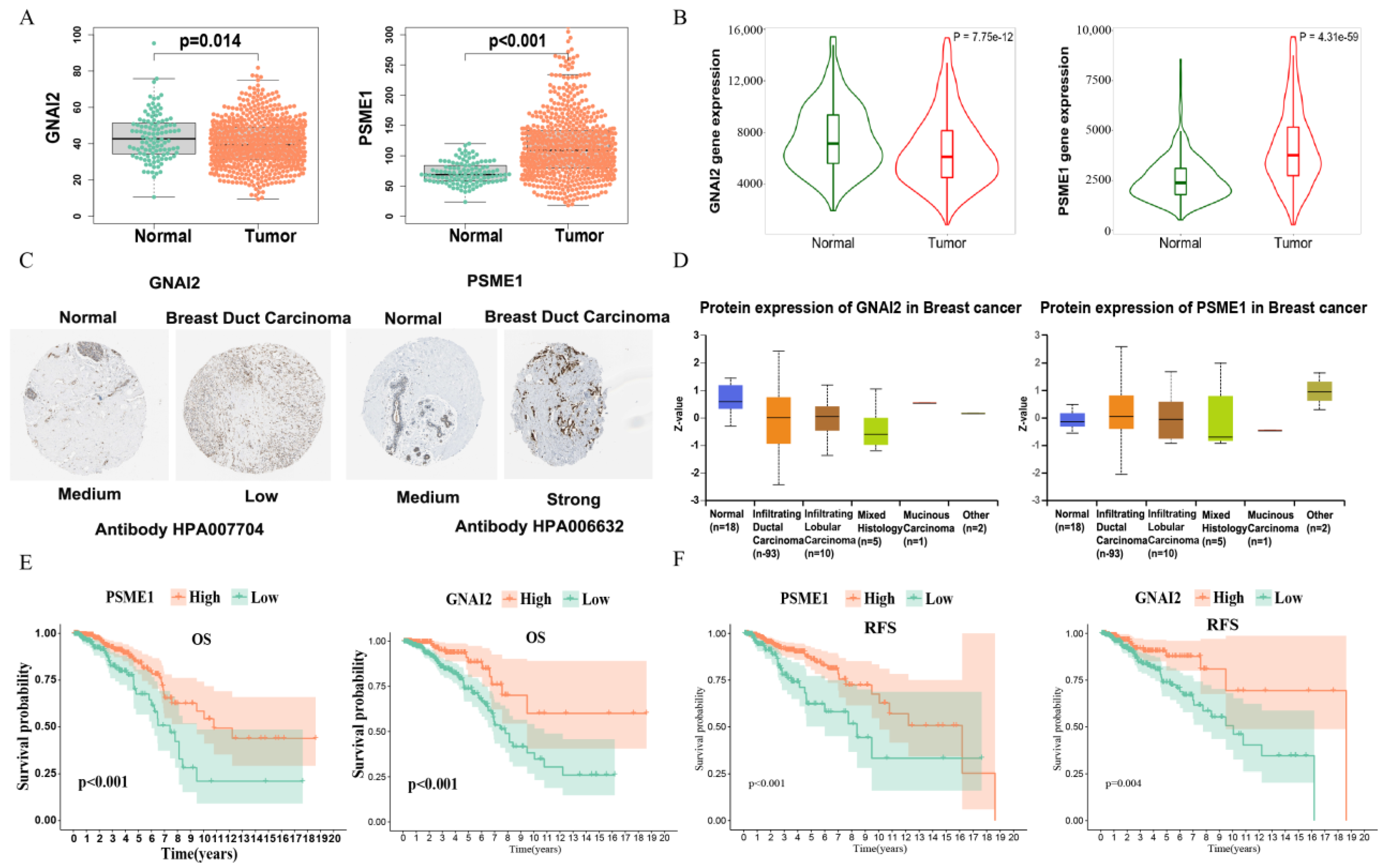 Biomolecules 13 00147 g009