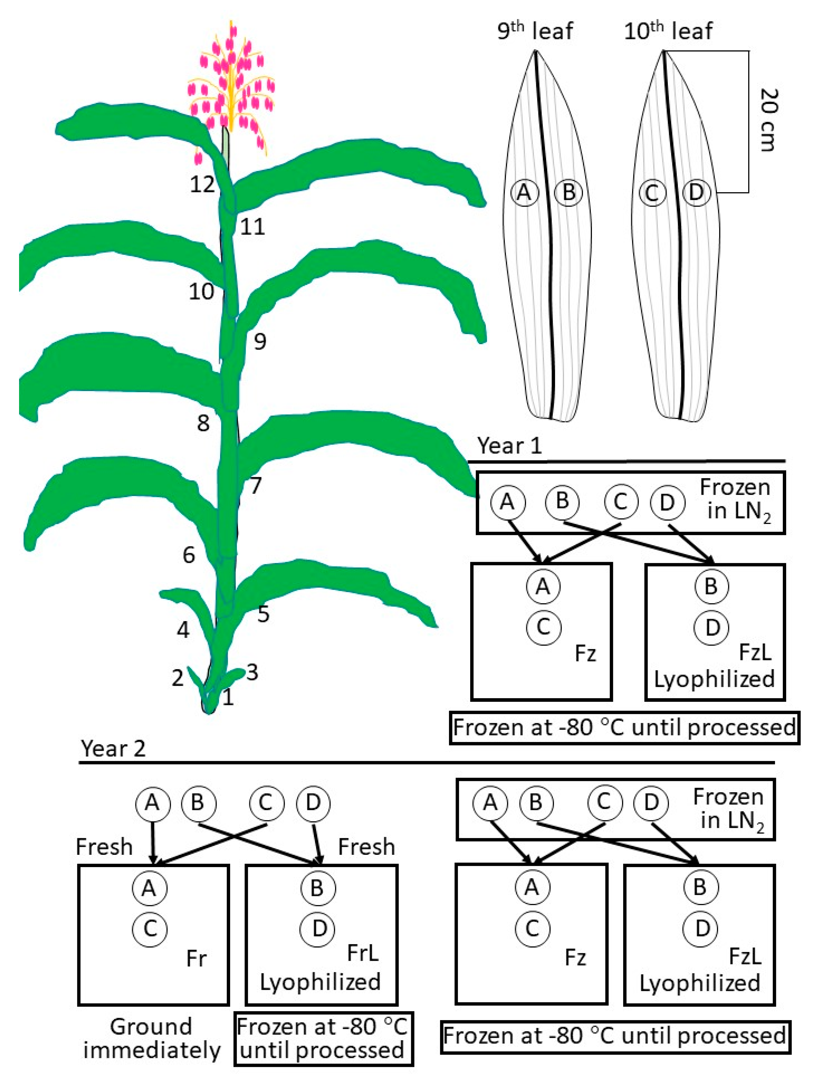 Biomolecules 13 00148 g001