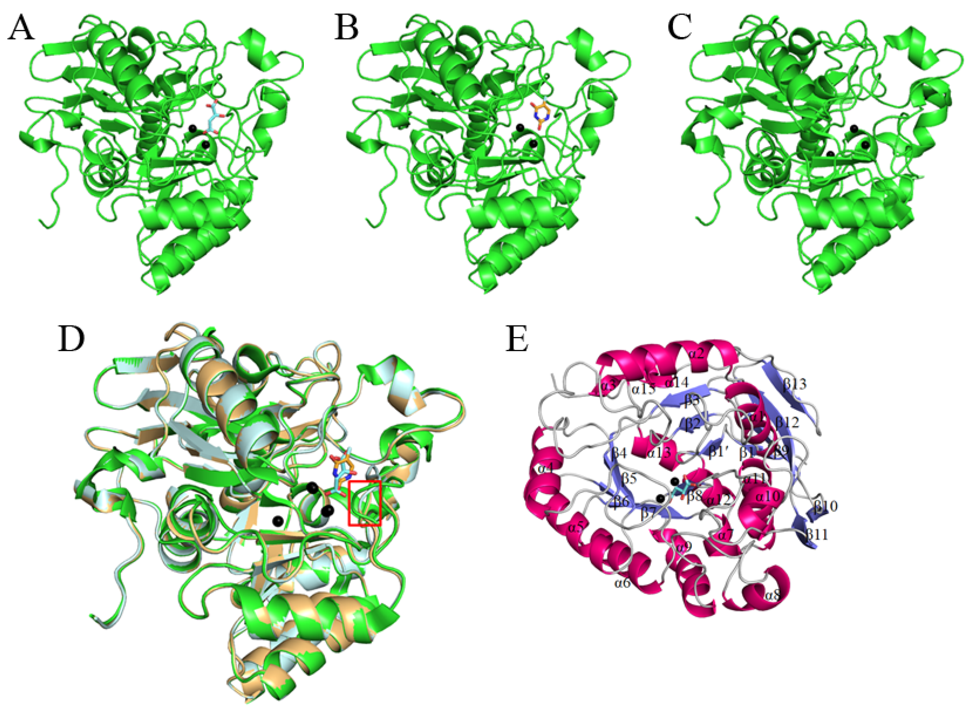 Biomolecules 13 00149 g002