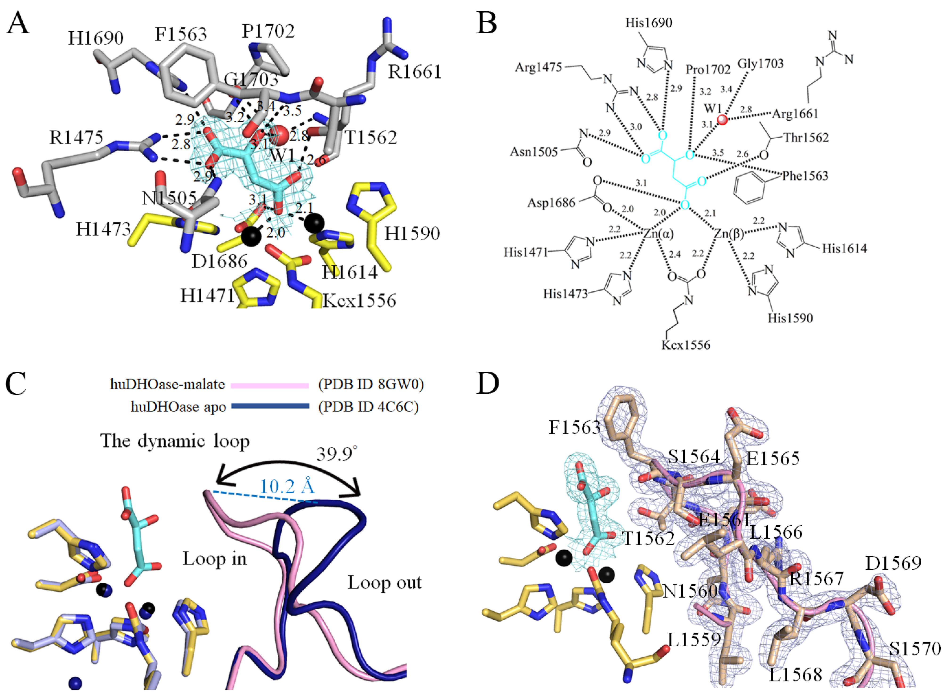 Biomolecules 13 00149 g005