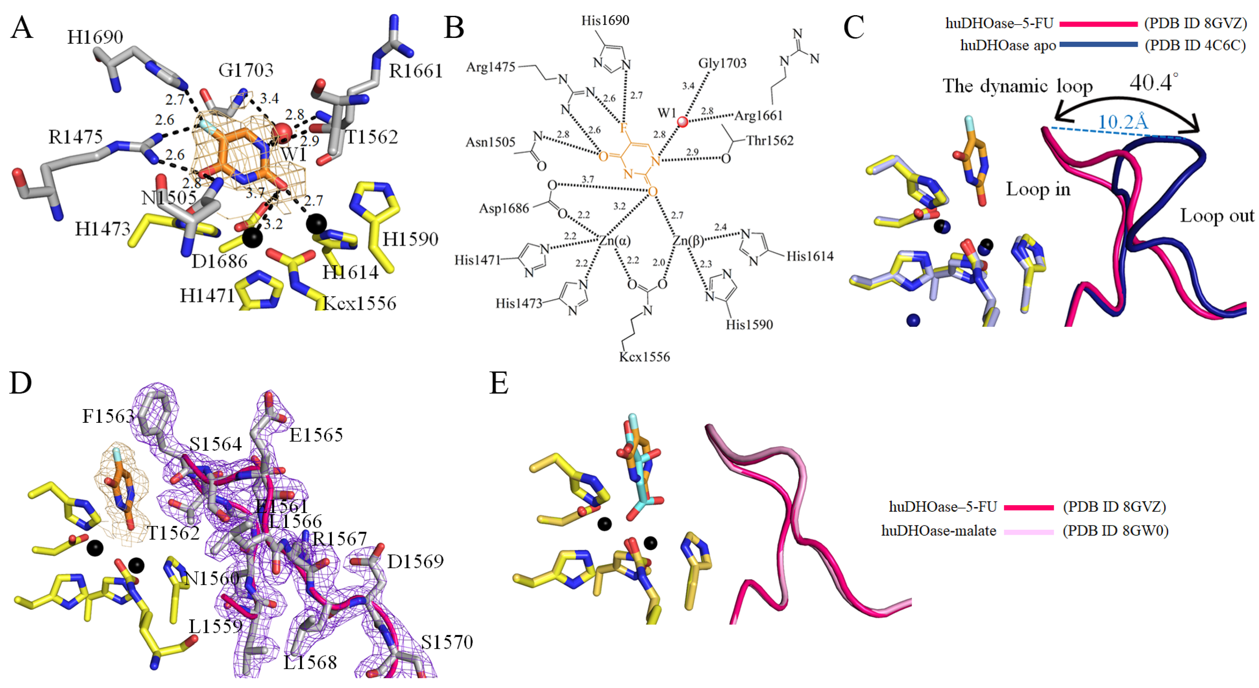 Biomolecules 13 00149 g006