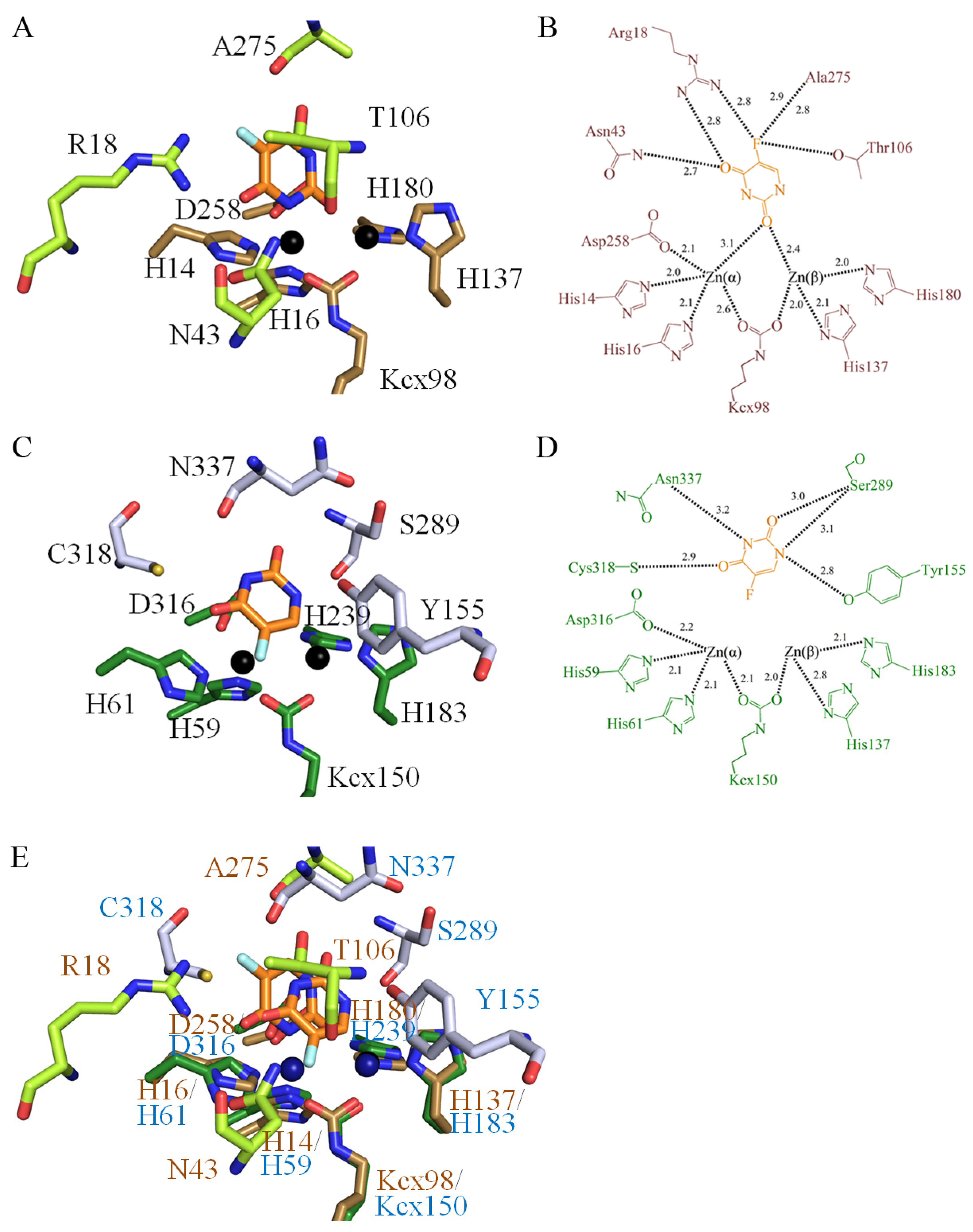 Biomolecules 13 00149 g008