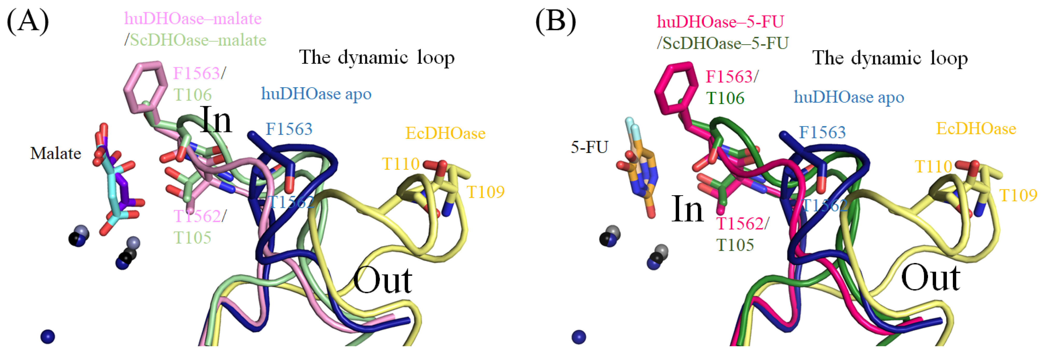 Biomolecules 13 00149 g009