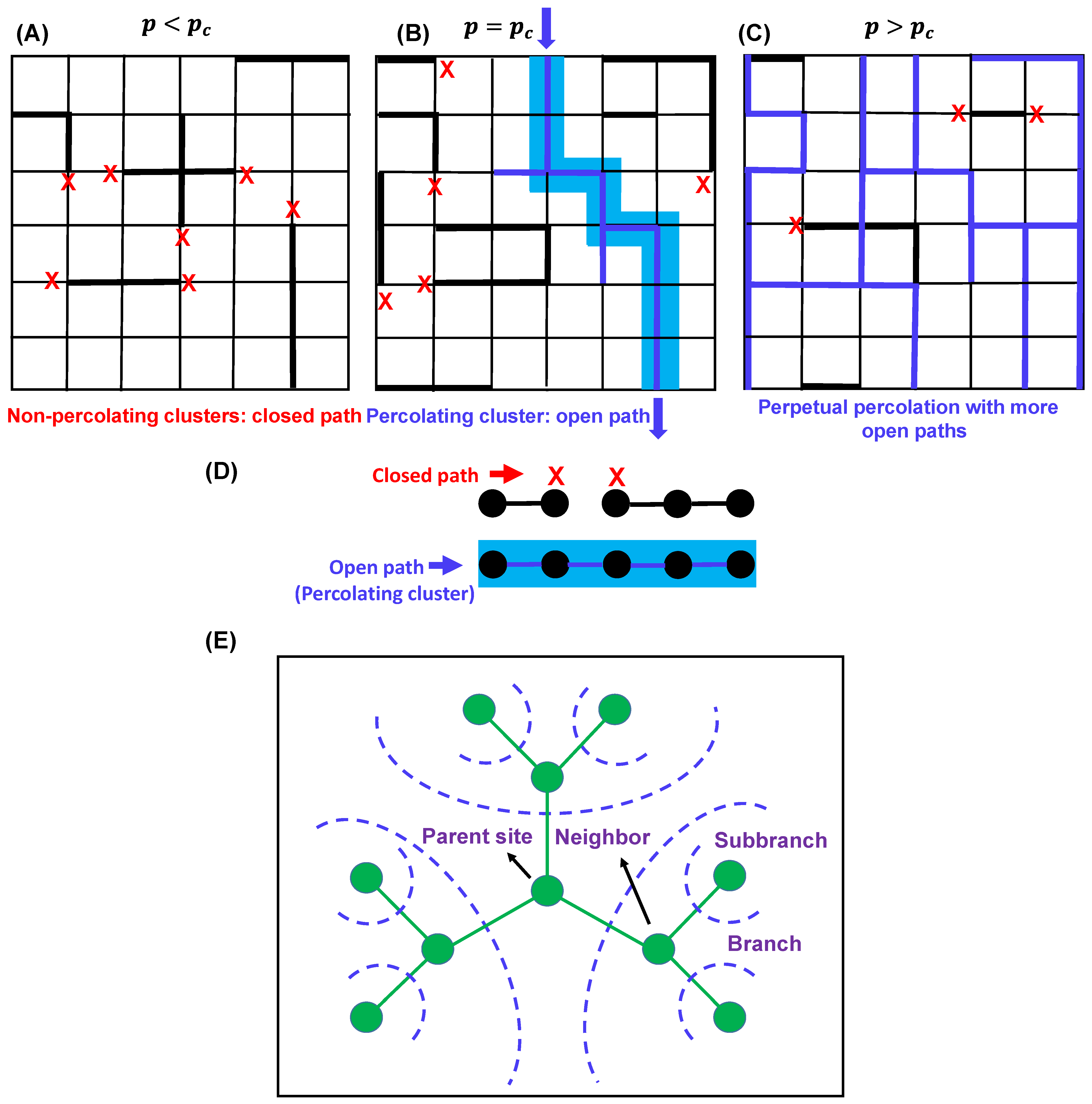 Biomolecules 13 00151 g003