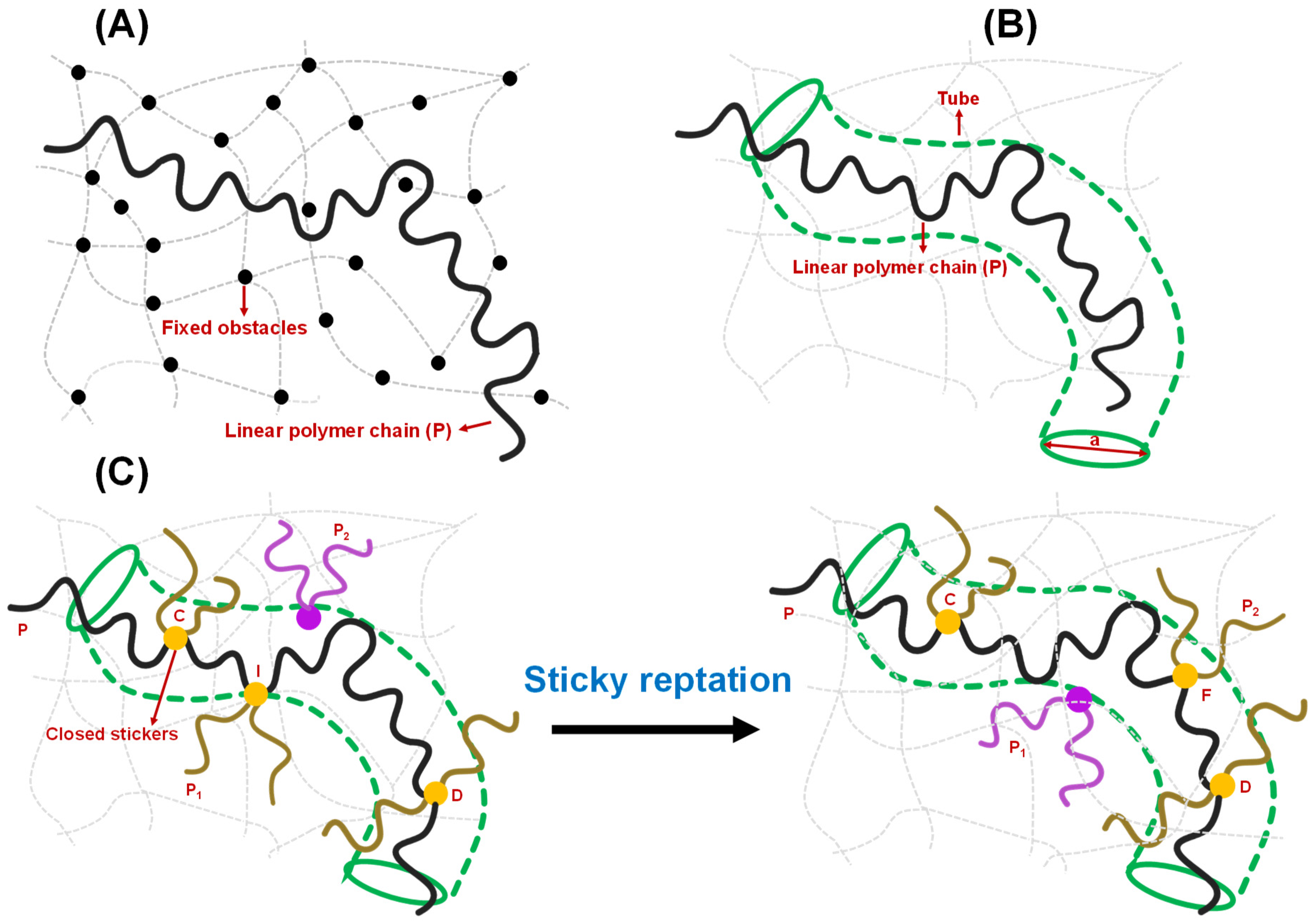 Biomolecules 13 00151 g004