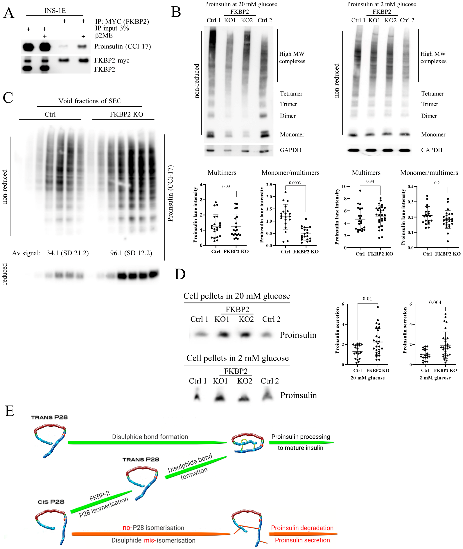 Biomolecules 13 00152 g006