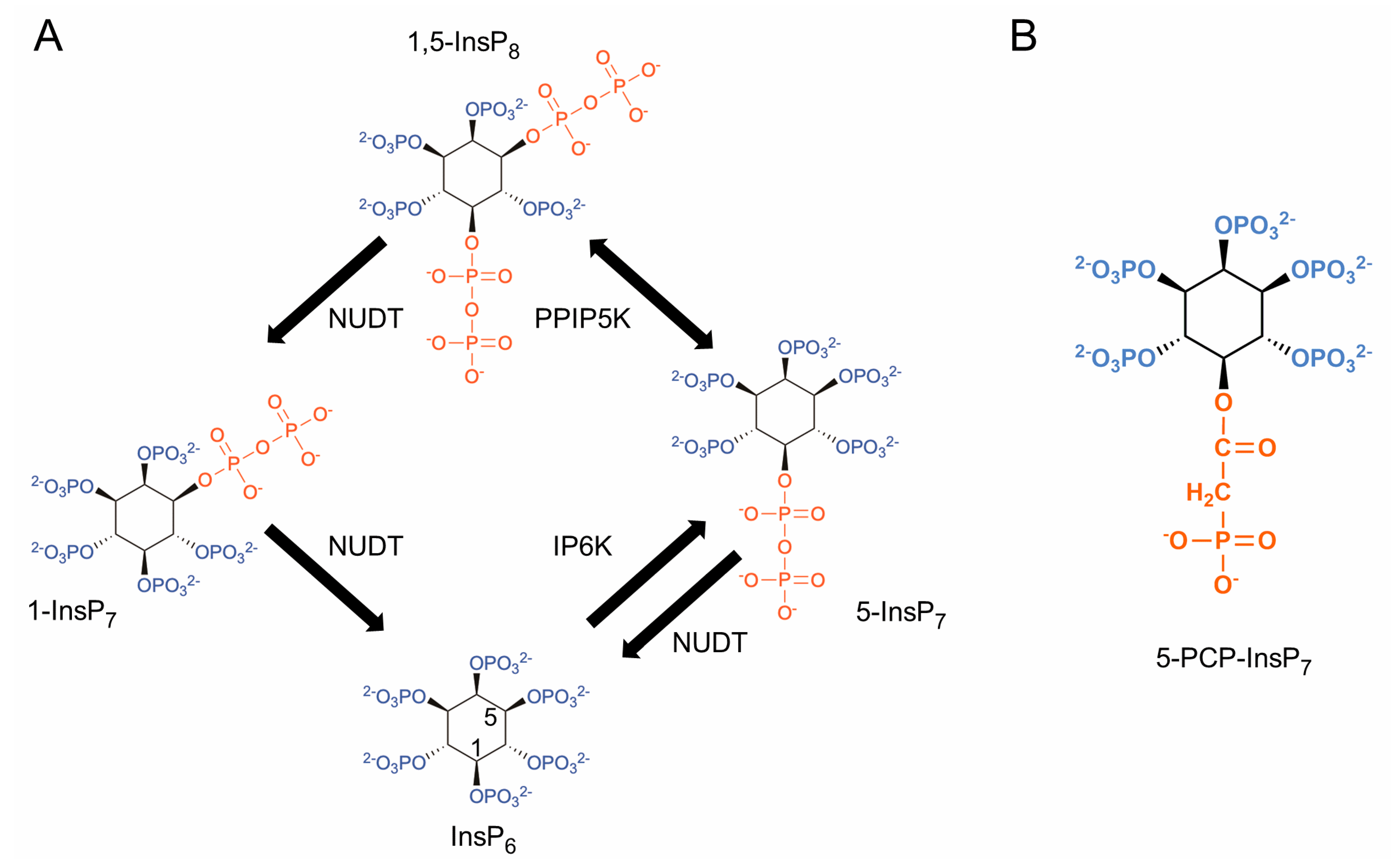 Biomolecules 13 00153 g001