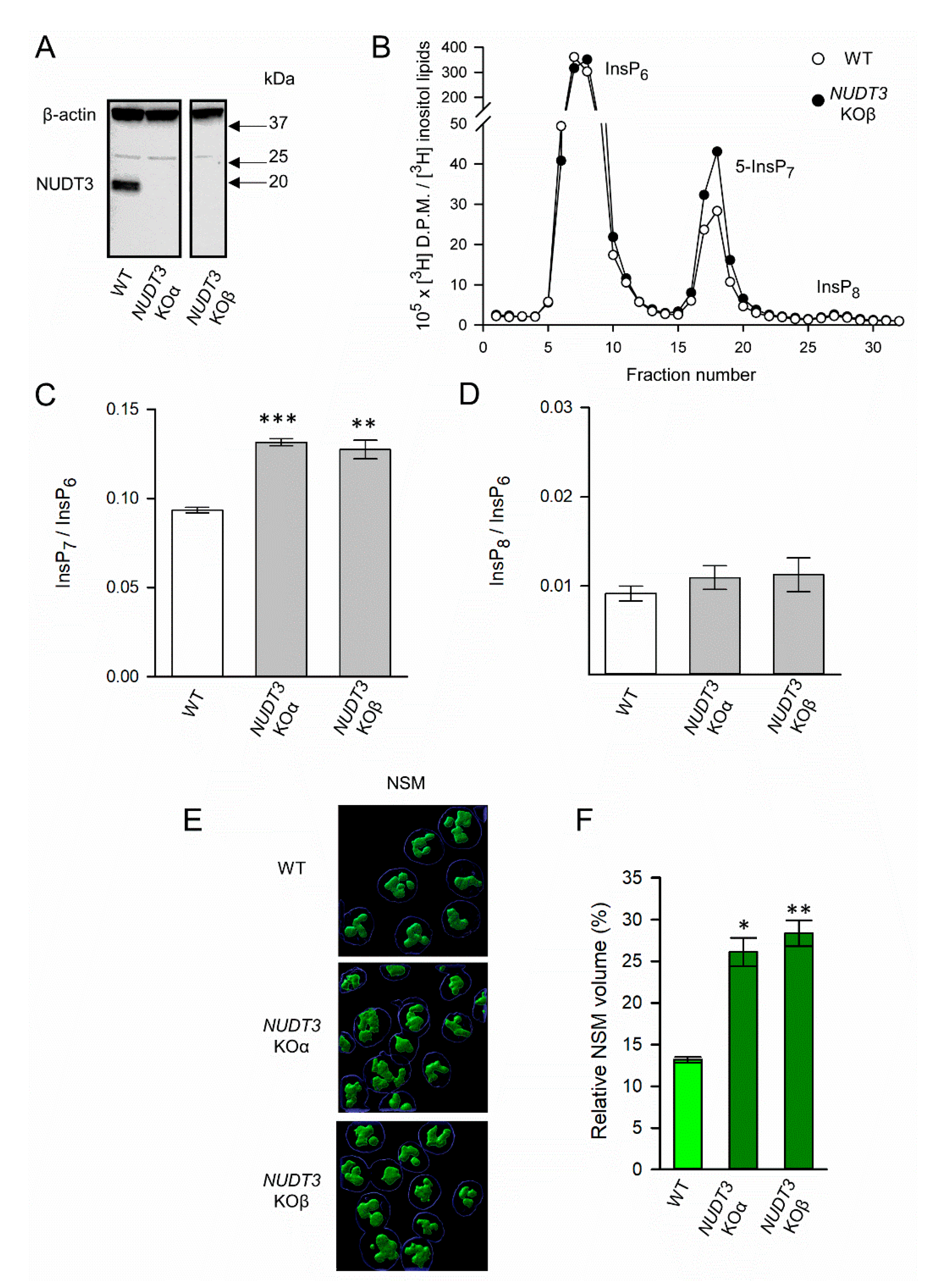 Biomolecules 13 00153 g004