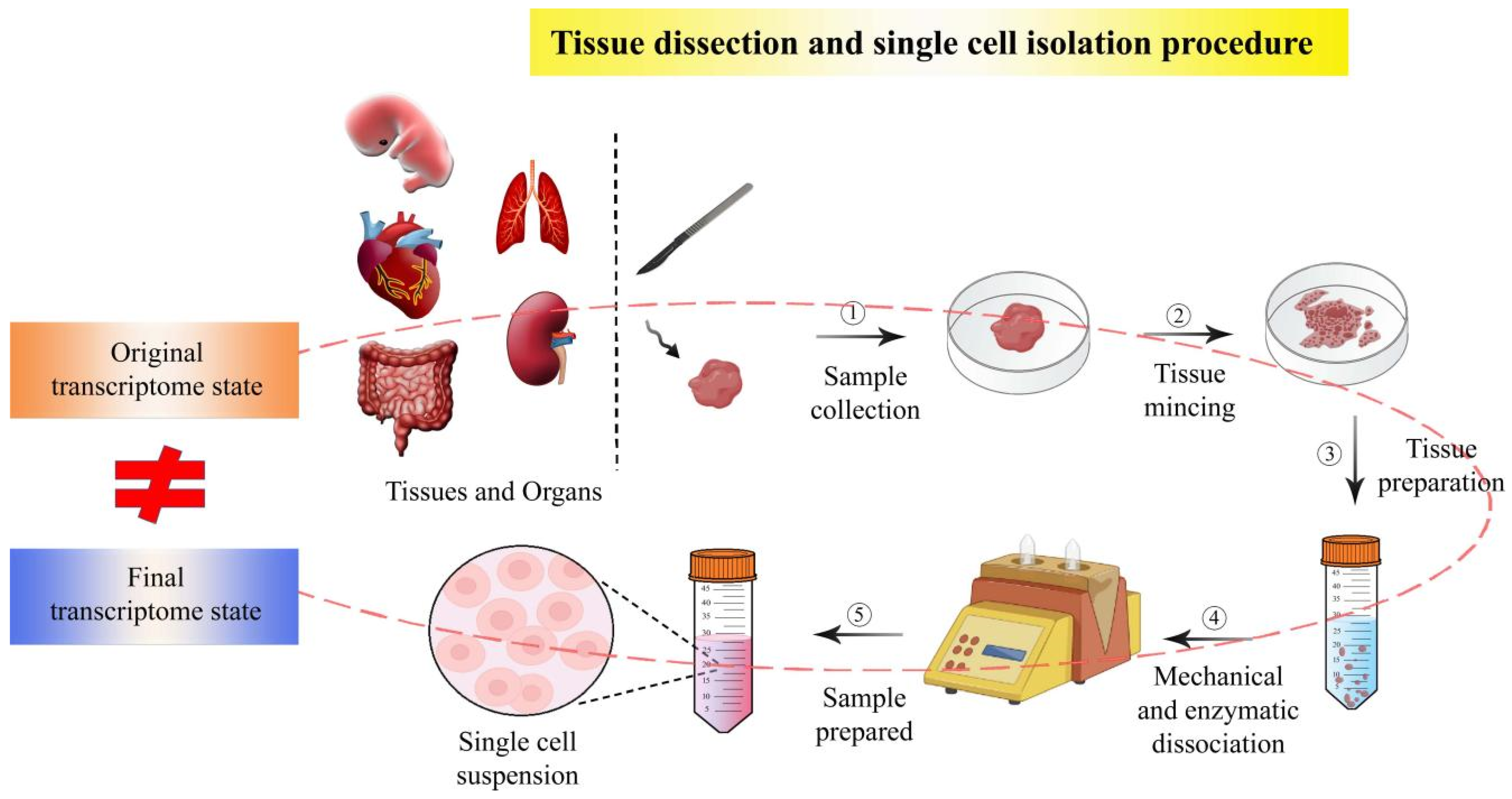 Biomolecules 13 00156 g003 Biomolecules 13 00156 g003