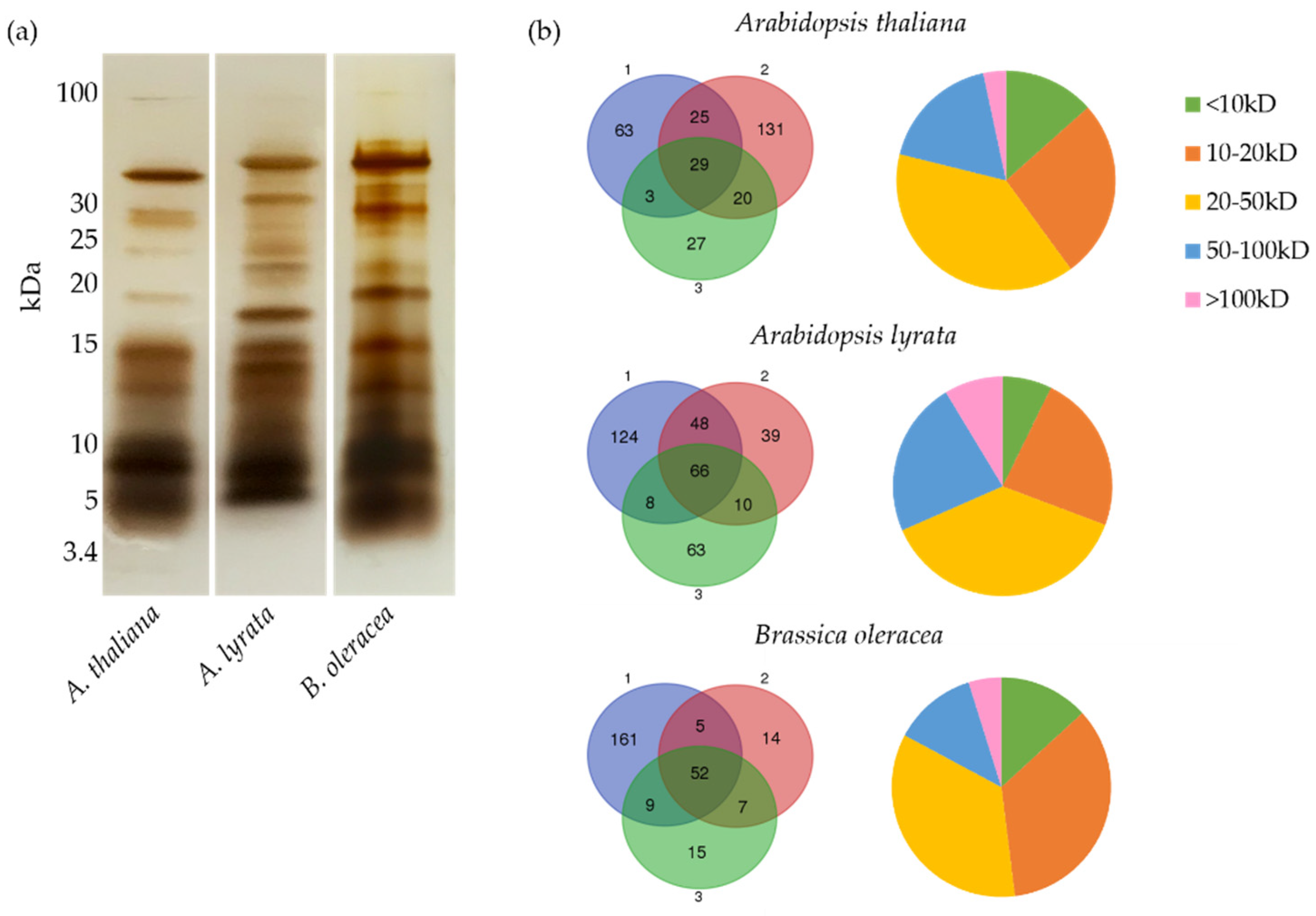 Biomolecules 13 00157 g001