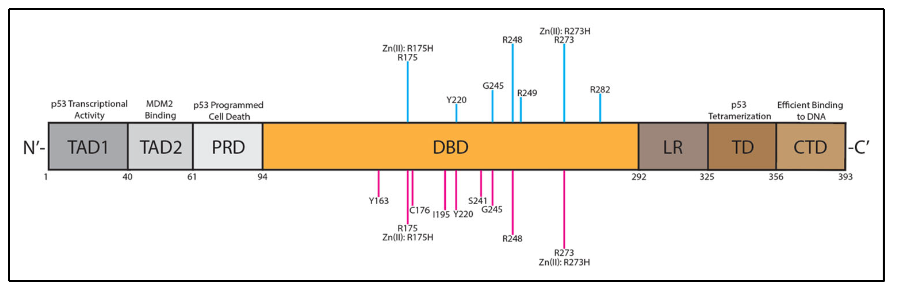Biomolecules 13 00159 g001