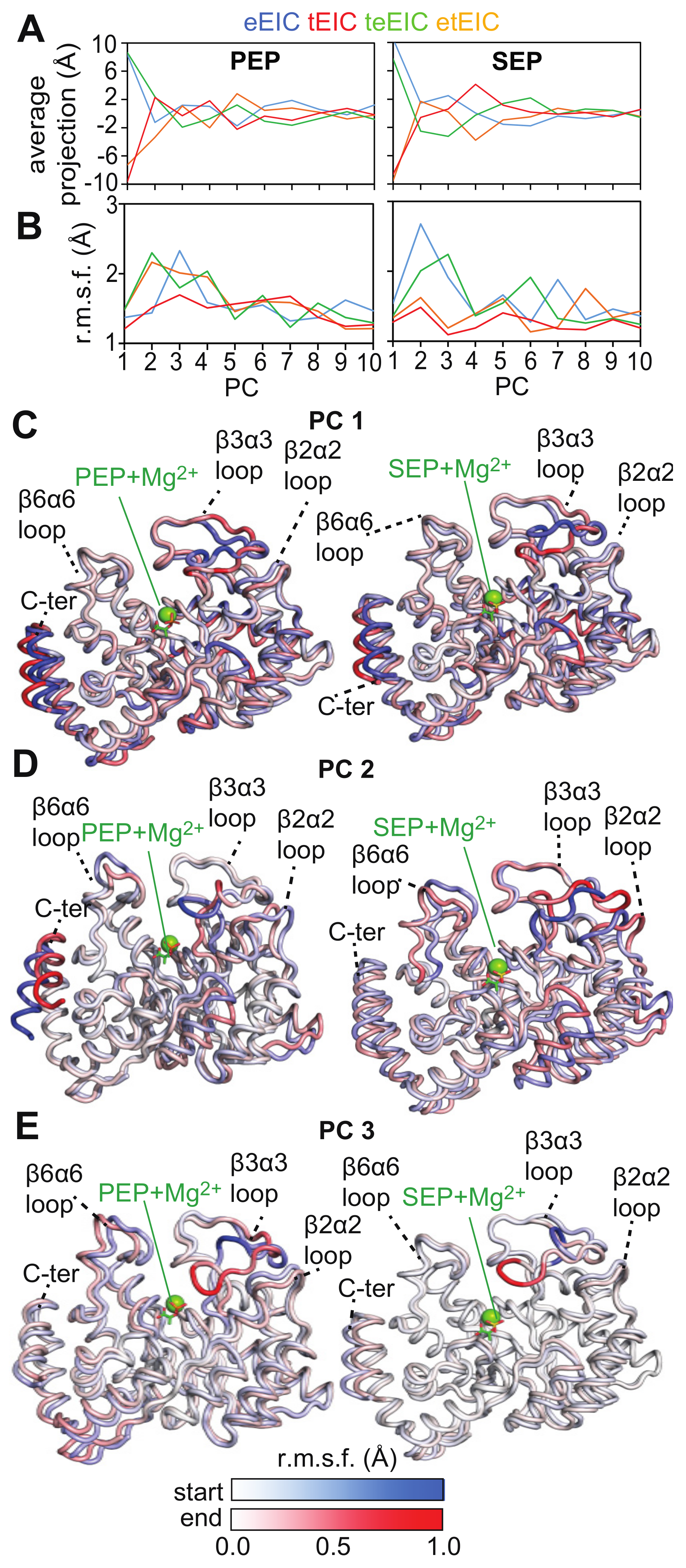 Biomolecules 13 00160 g007