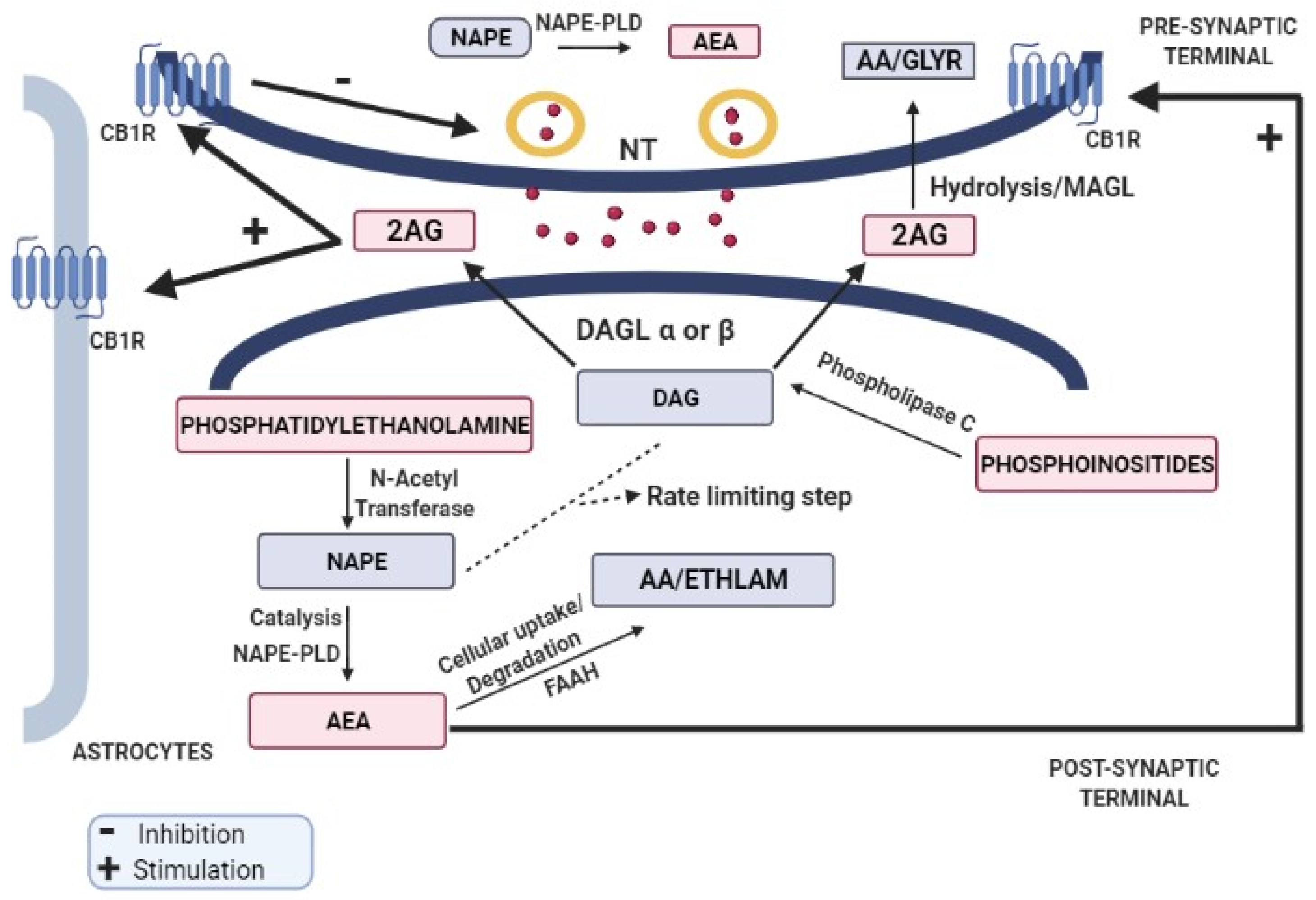 Biomolecules 13 00162 g001