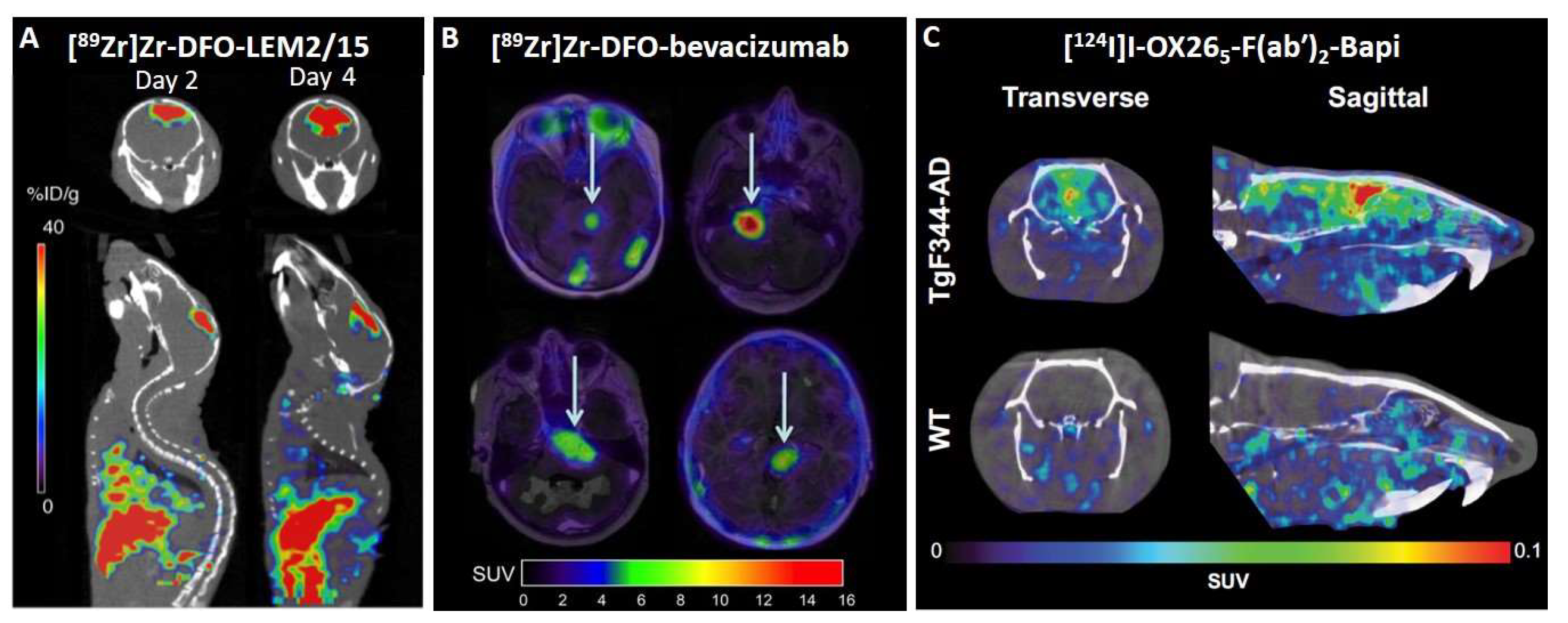 Biomolecules 13 00164 g002 Biomolecules 13 00164 g002