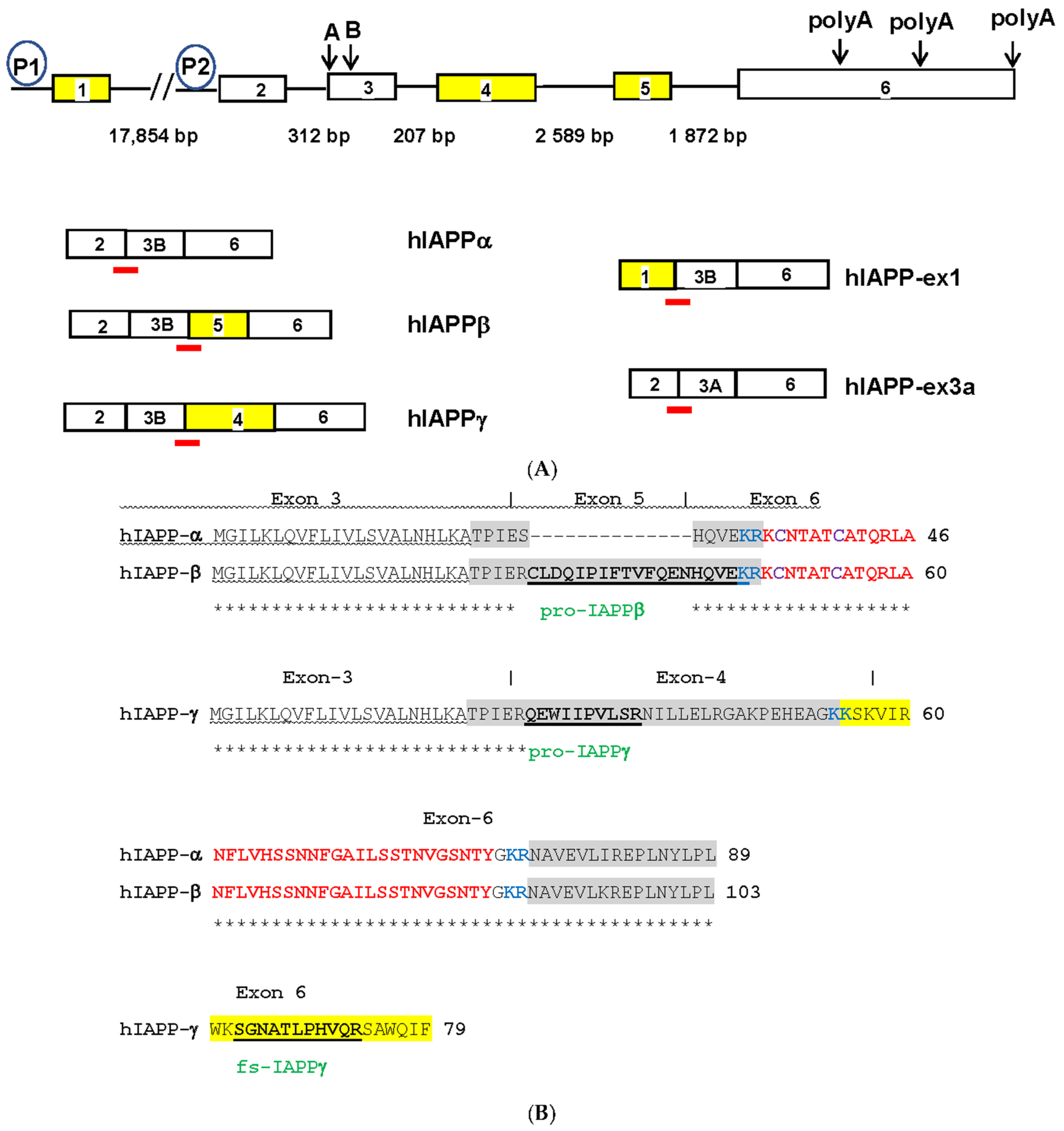 Biomolecules 13 00167 g001a