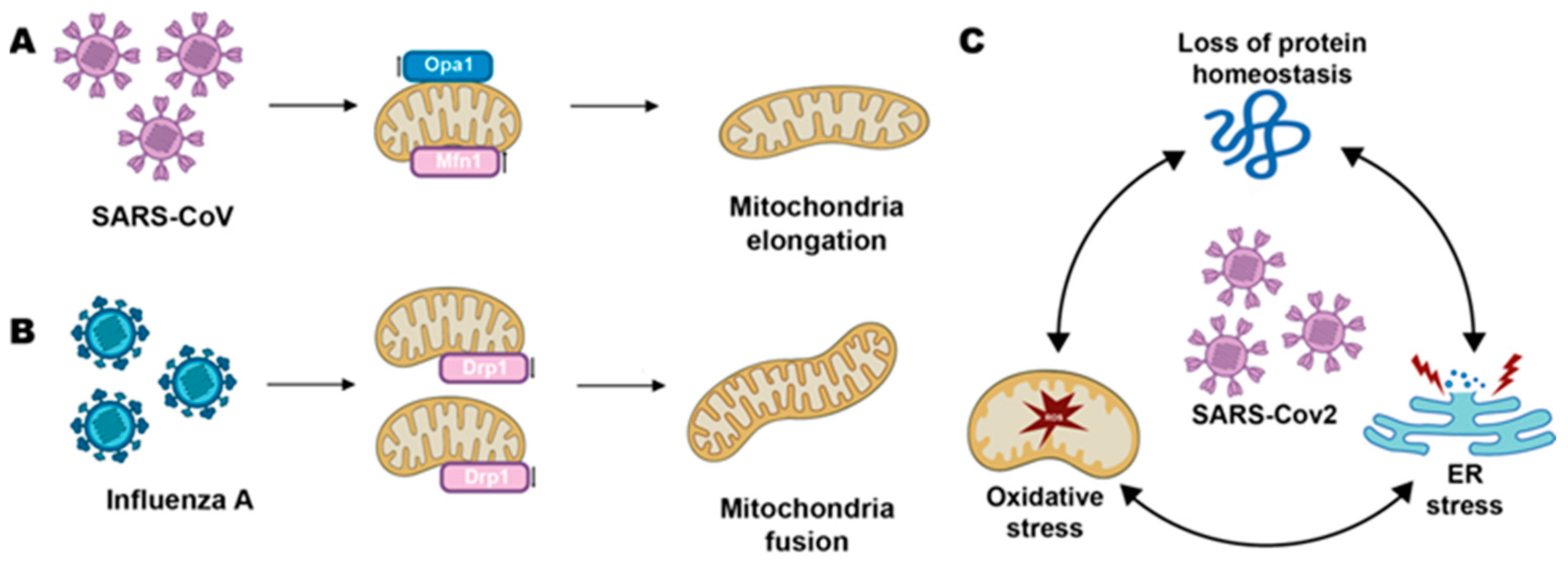 Biomolecules 13 00169 g001