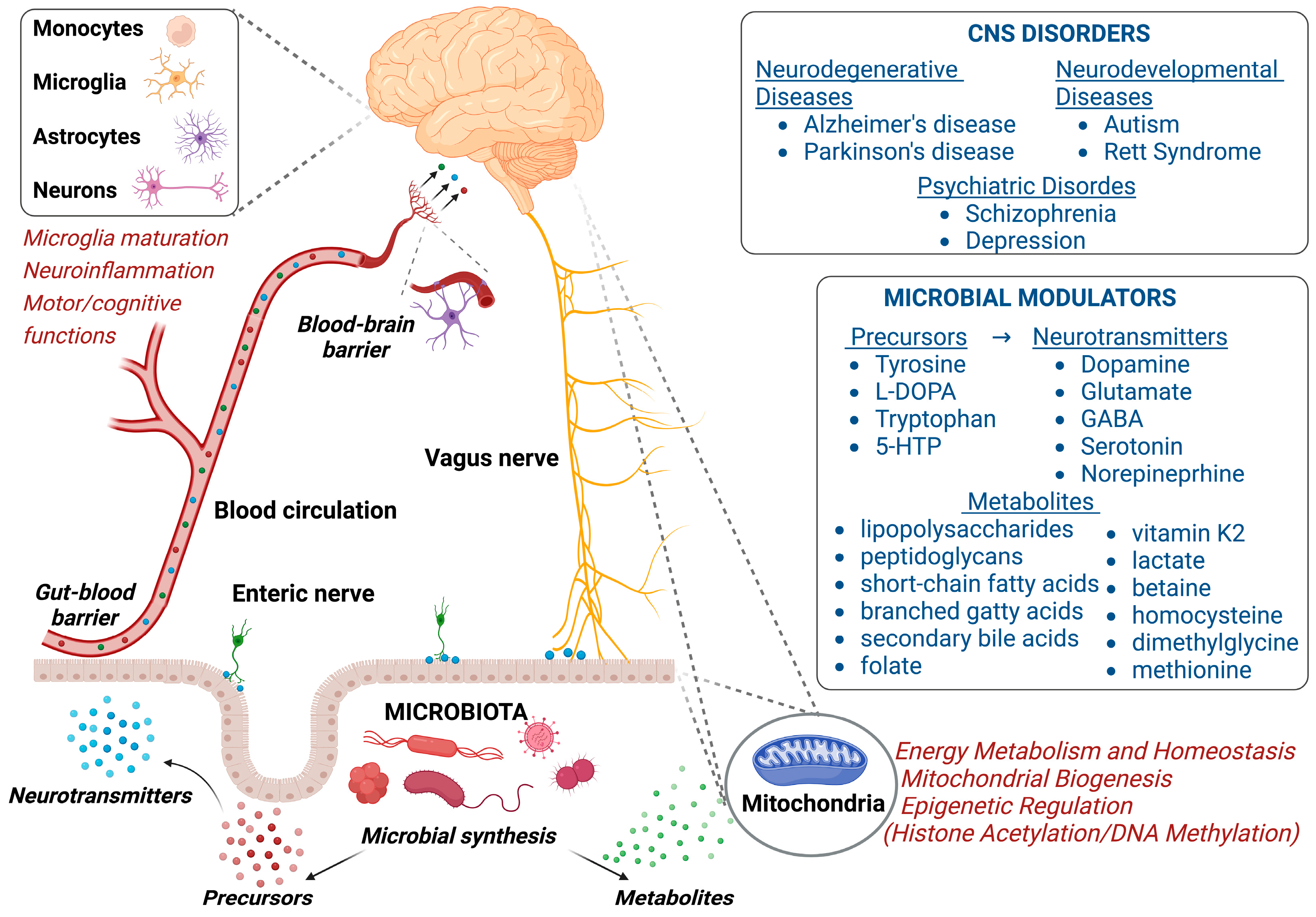 Biomolecules 13 00169 g002