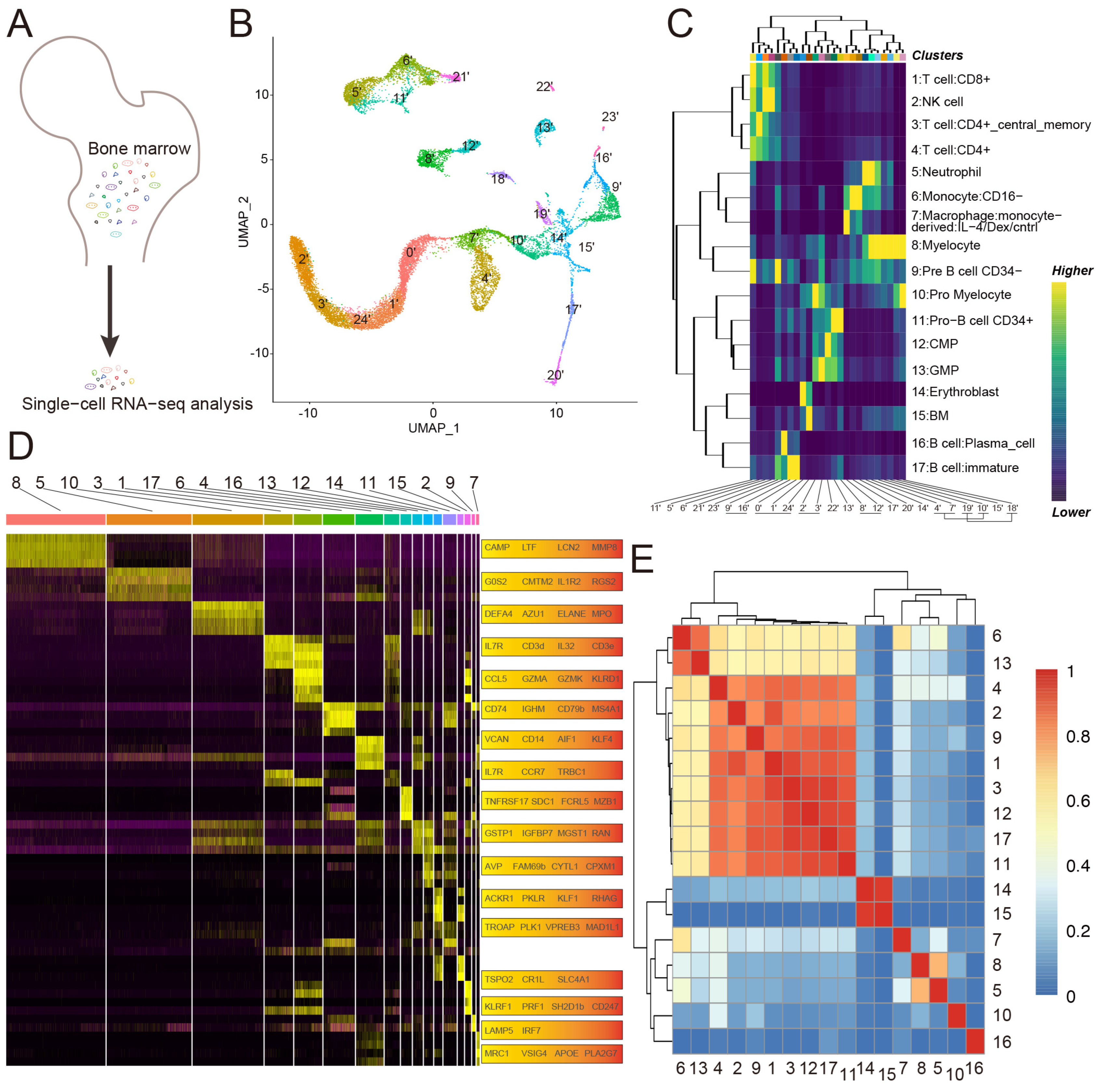 Biomolecules 13 00171 g001