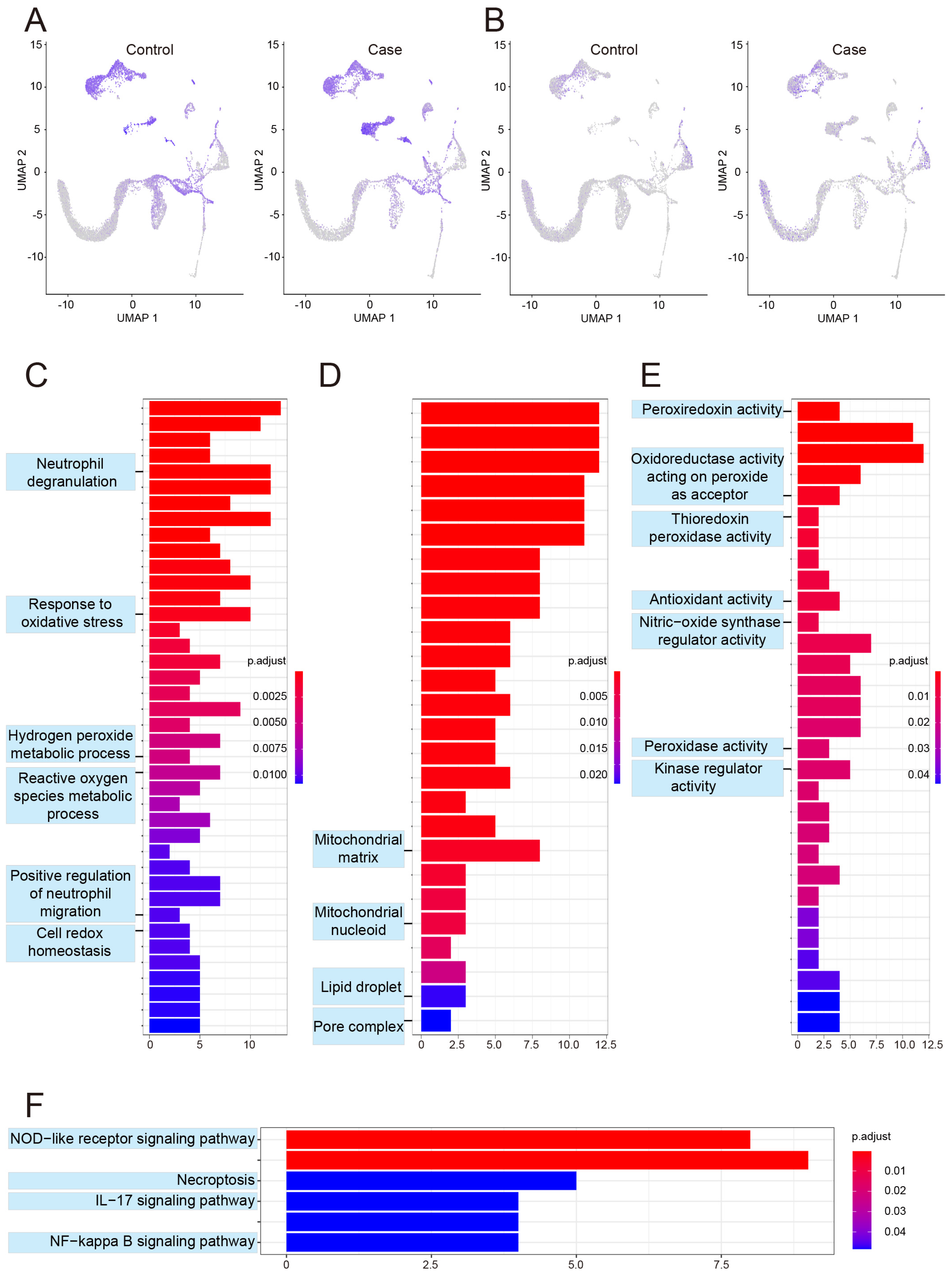 Biomolecules 13 00171 g003