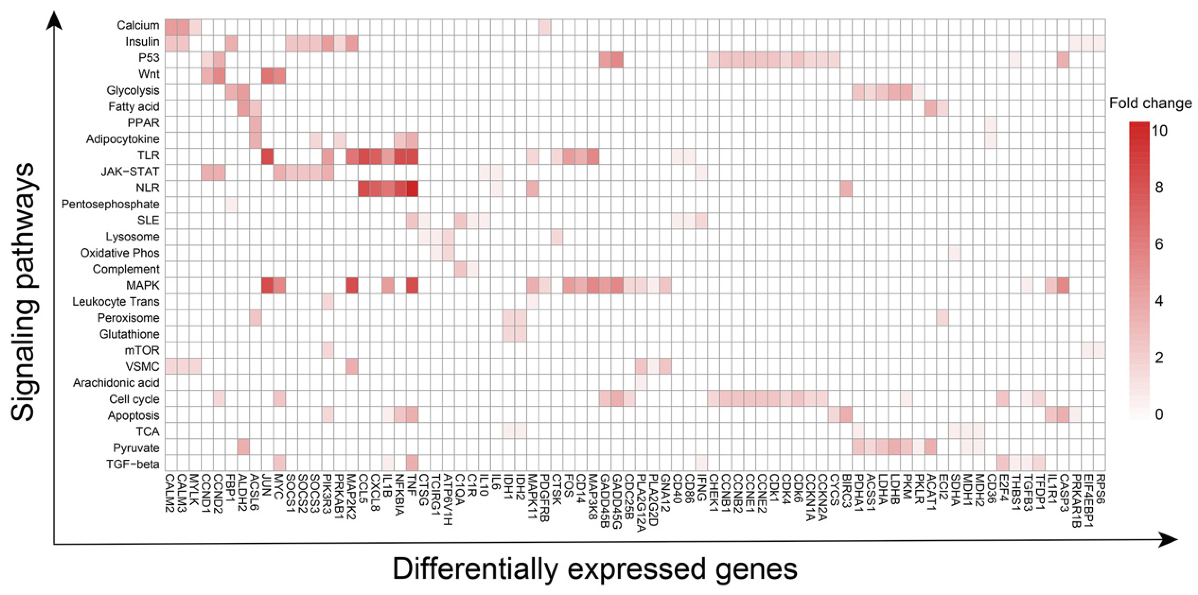 Biomolecules 13 00171 g004