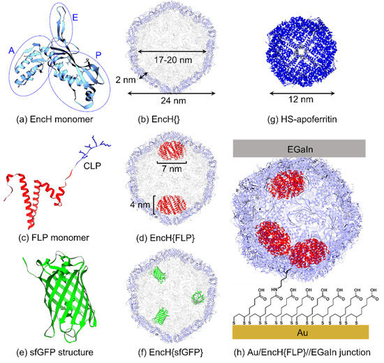 Biomolecules 13 00174 g001