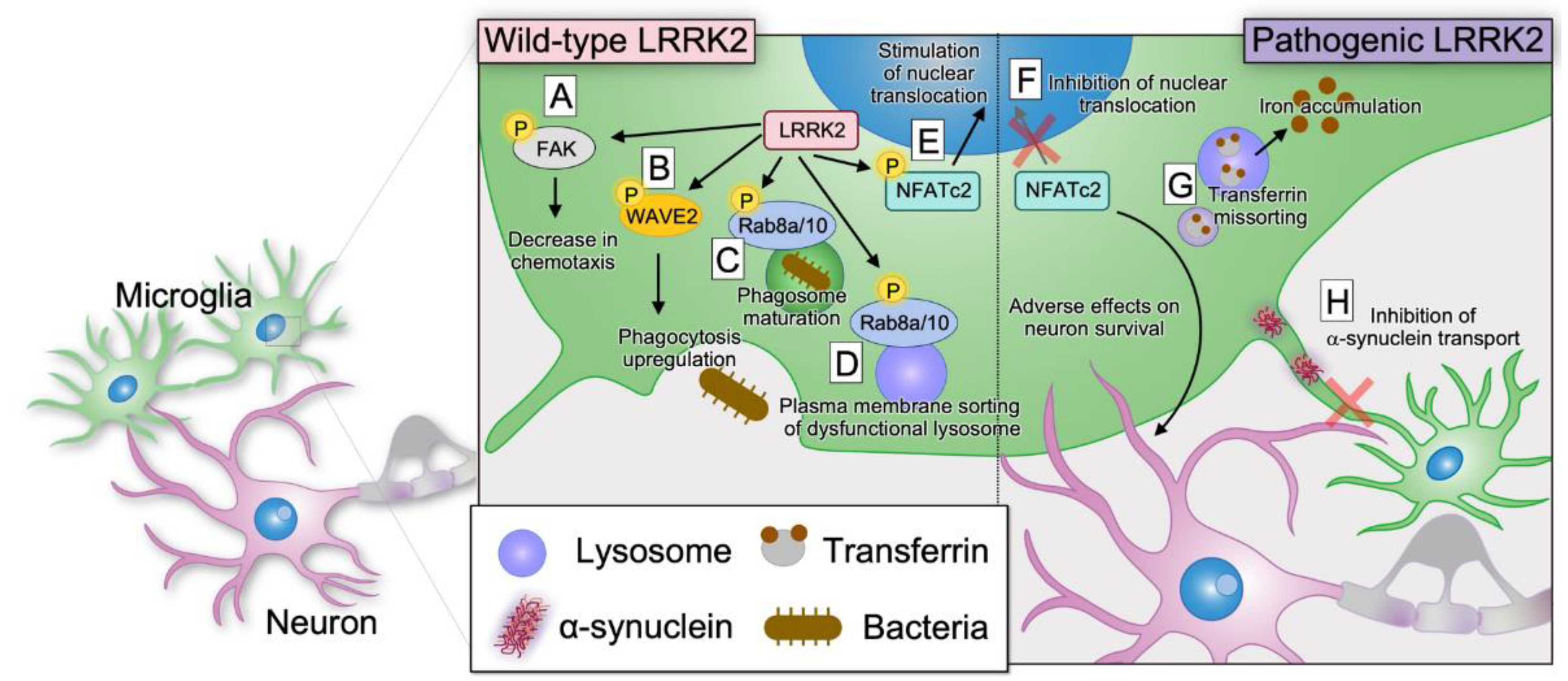 Biomolecules 13 00178 g004