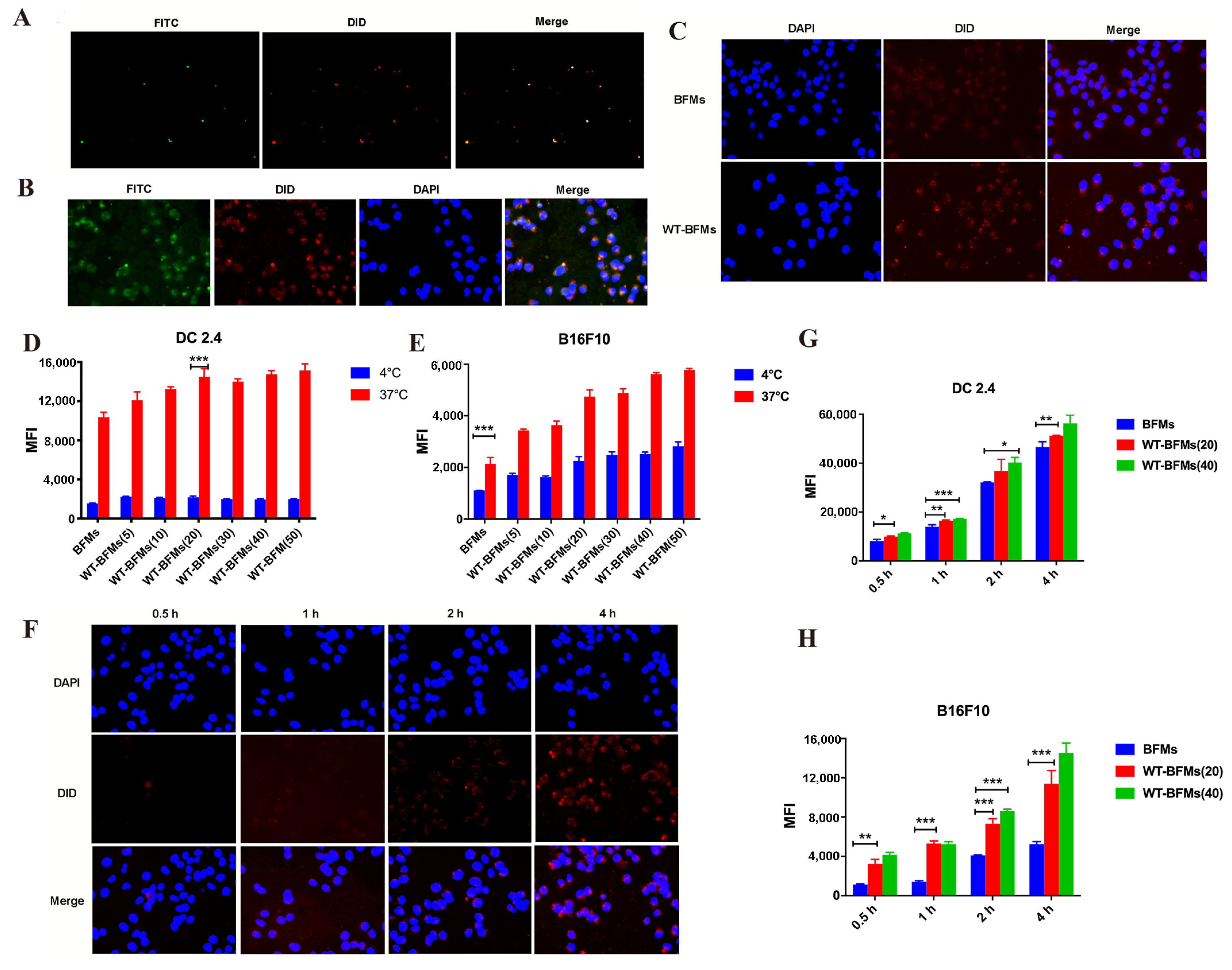 Biomolecules 13 00179 g003