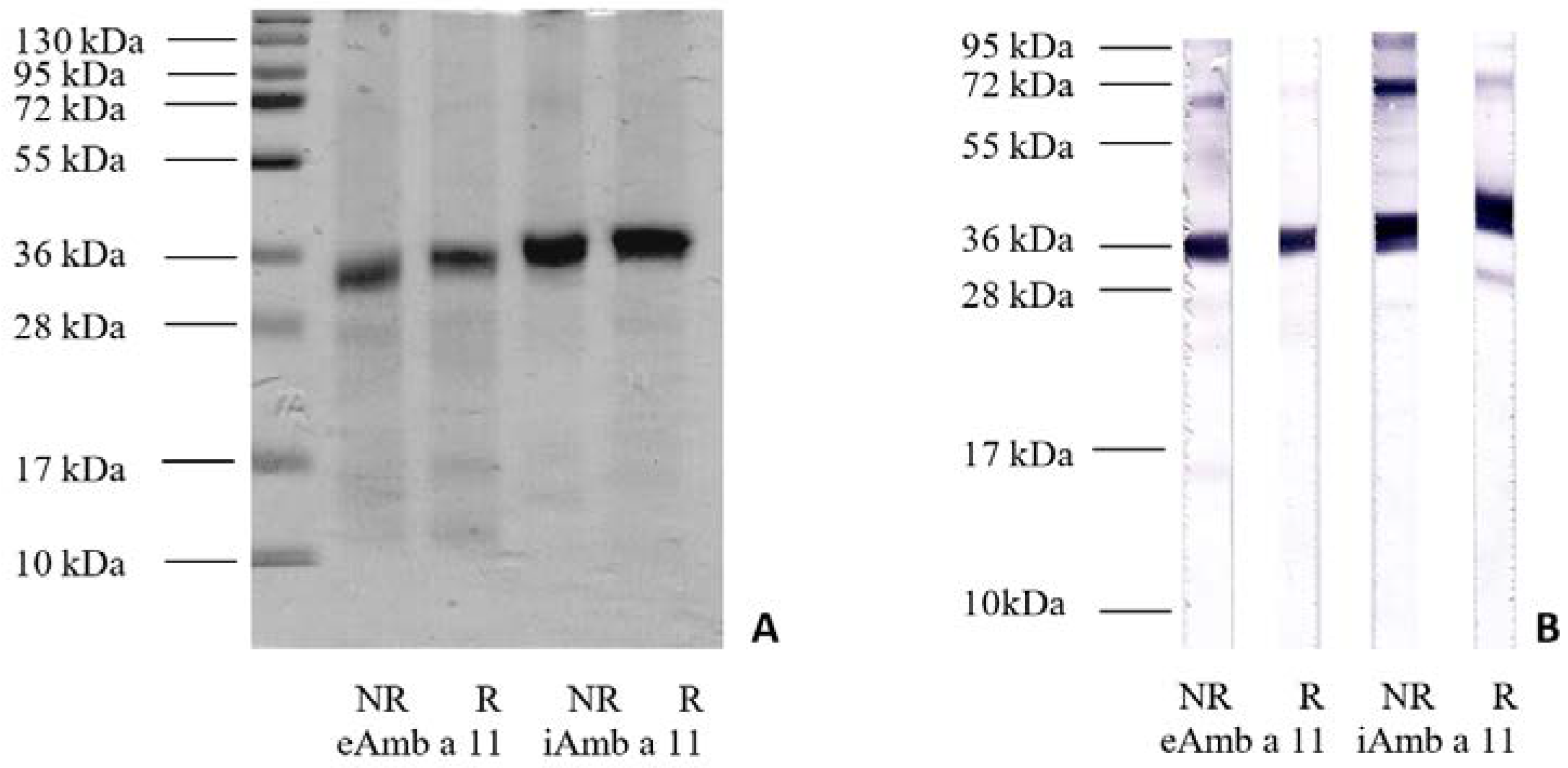 Biomolecules 13 00182 g001