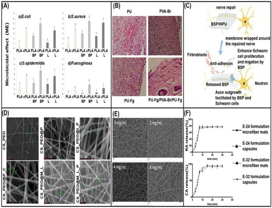 Biomolecules 13 00184 g007