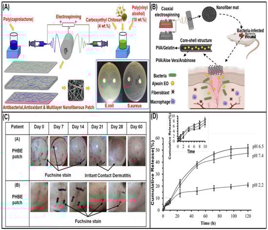 Biomolecules 13 00184 g008