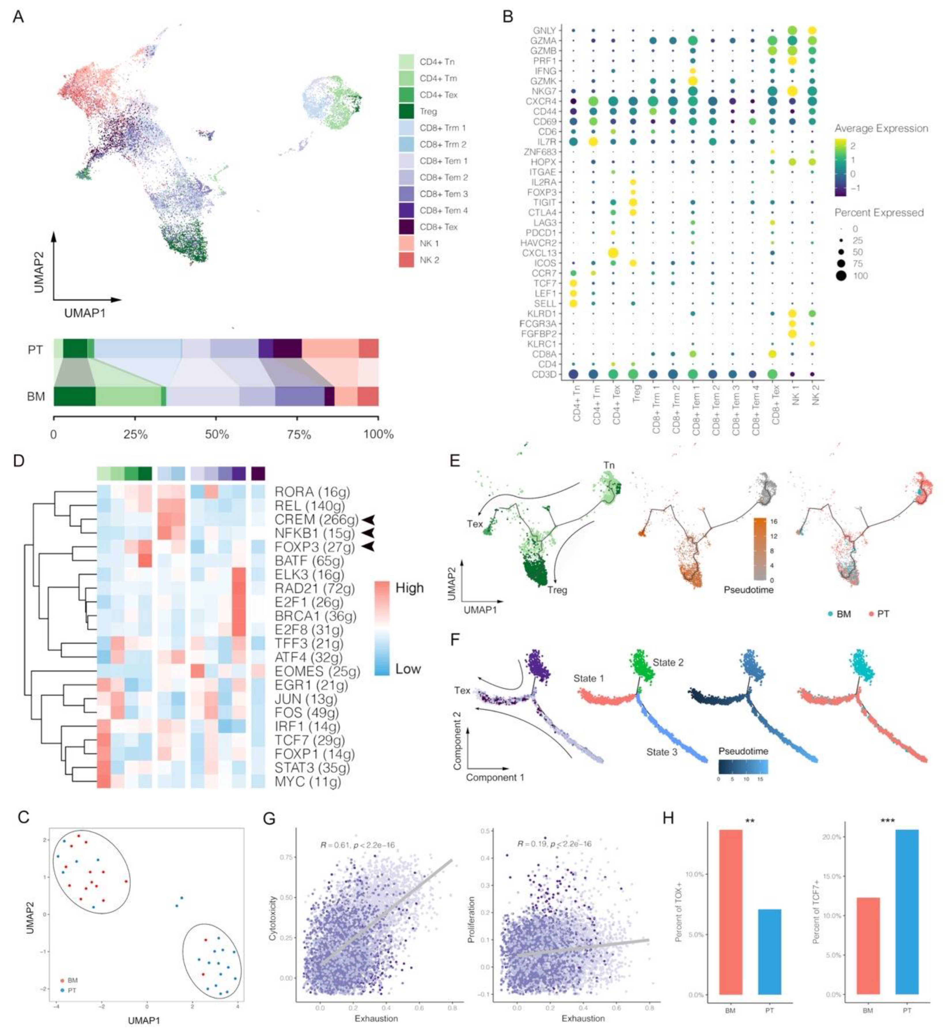 Biomolecules 13 00185 g002