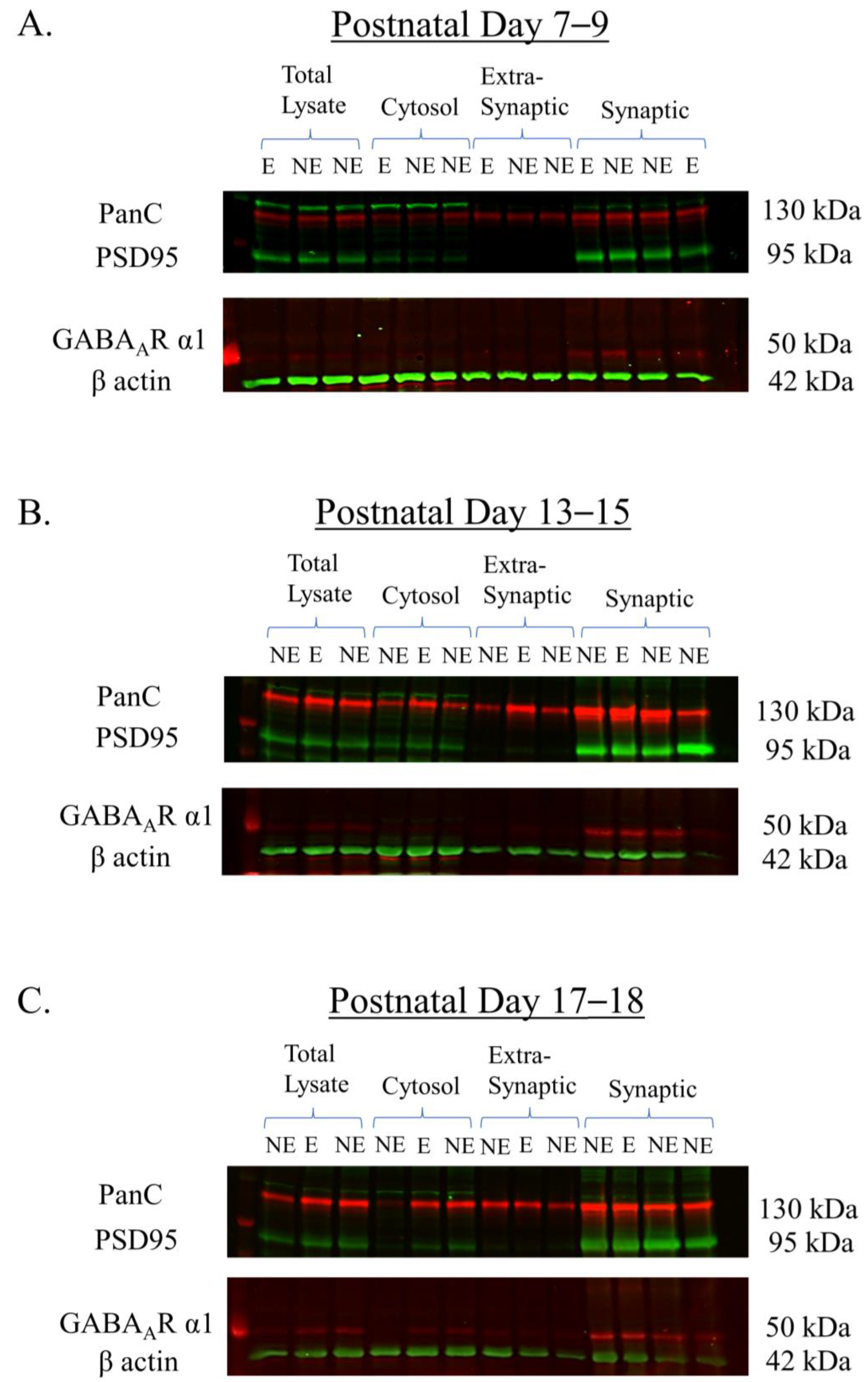 Biomolecules 13 00186 g002