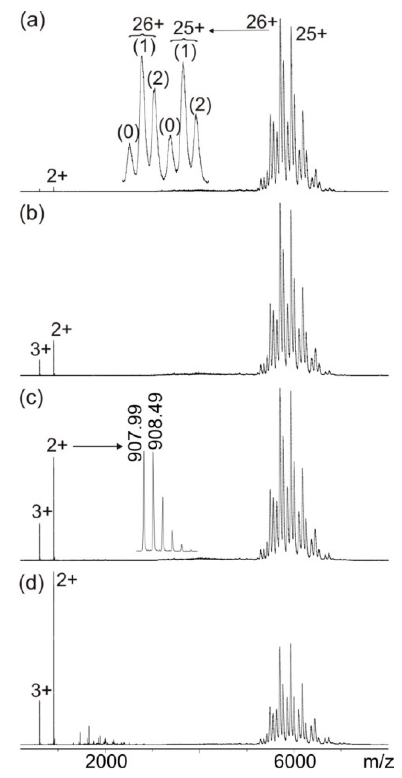 Biomolecules 13 00187 g001 Biomolecules 13 00187 g001