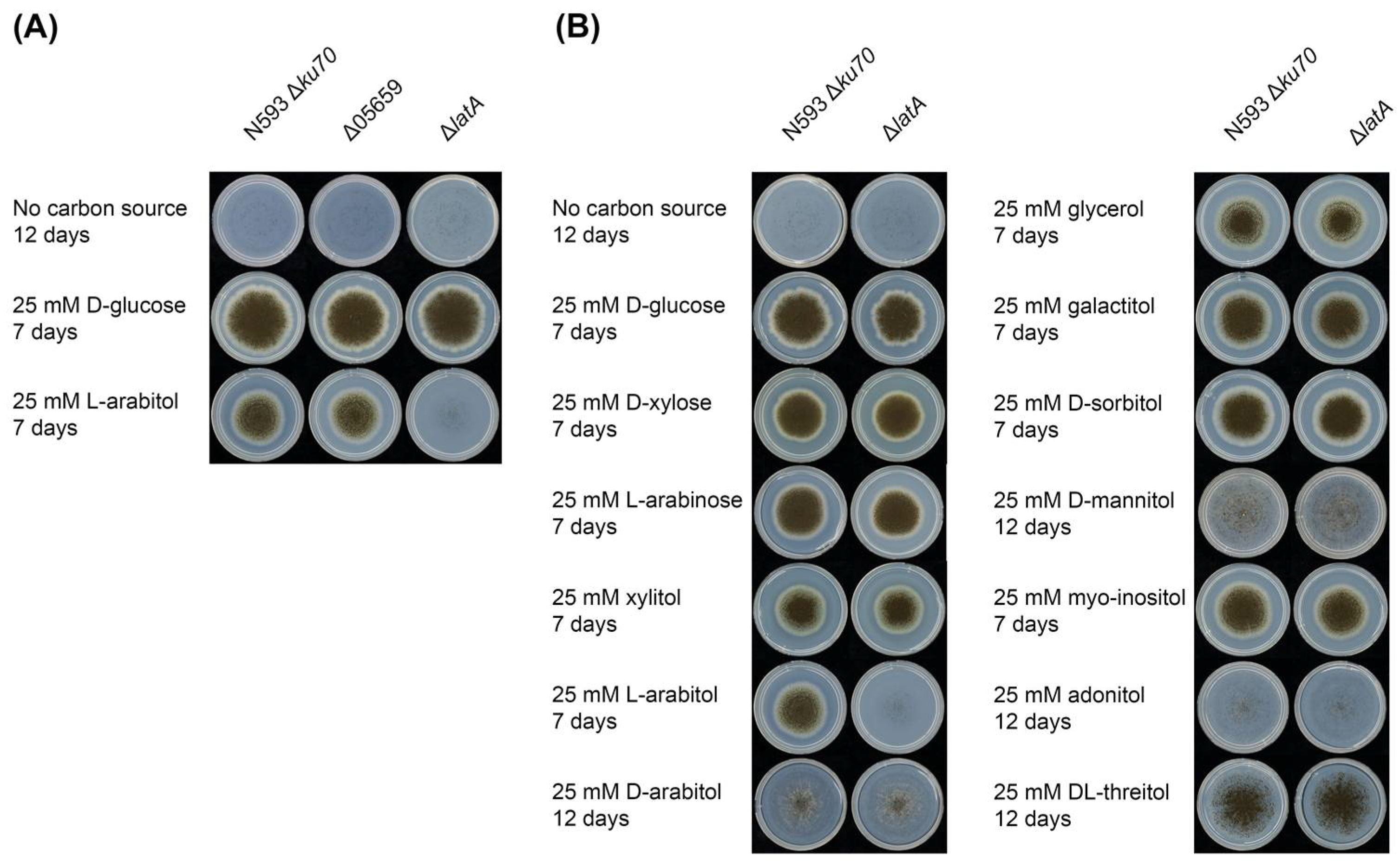 Biomolecules 13 00188 g002