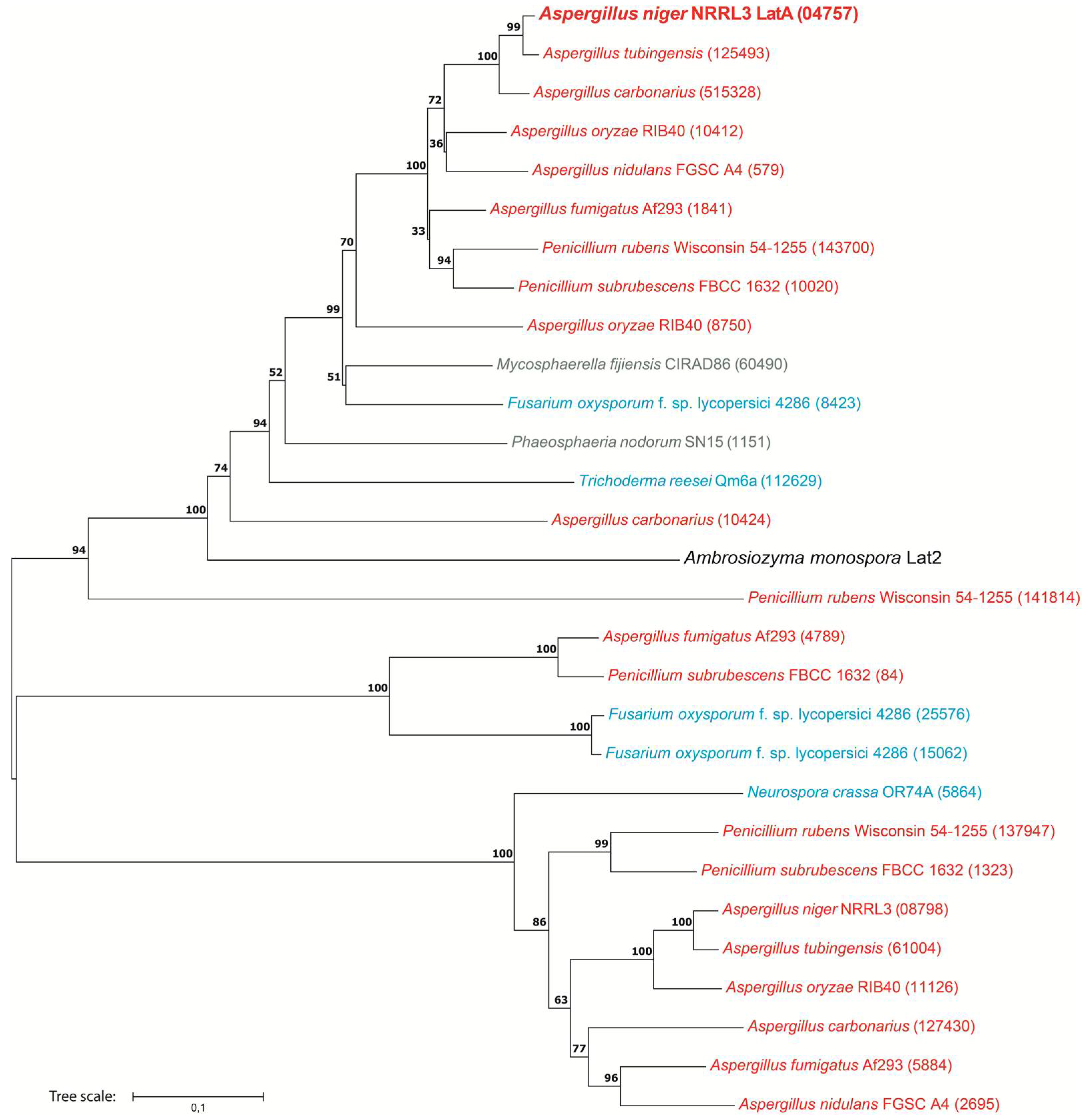 Biomolecules 13 00188 g005