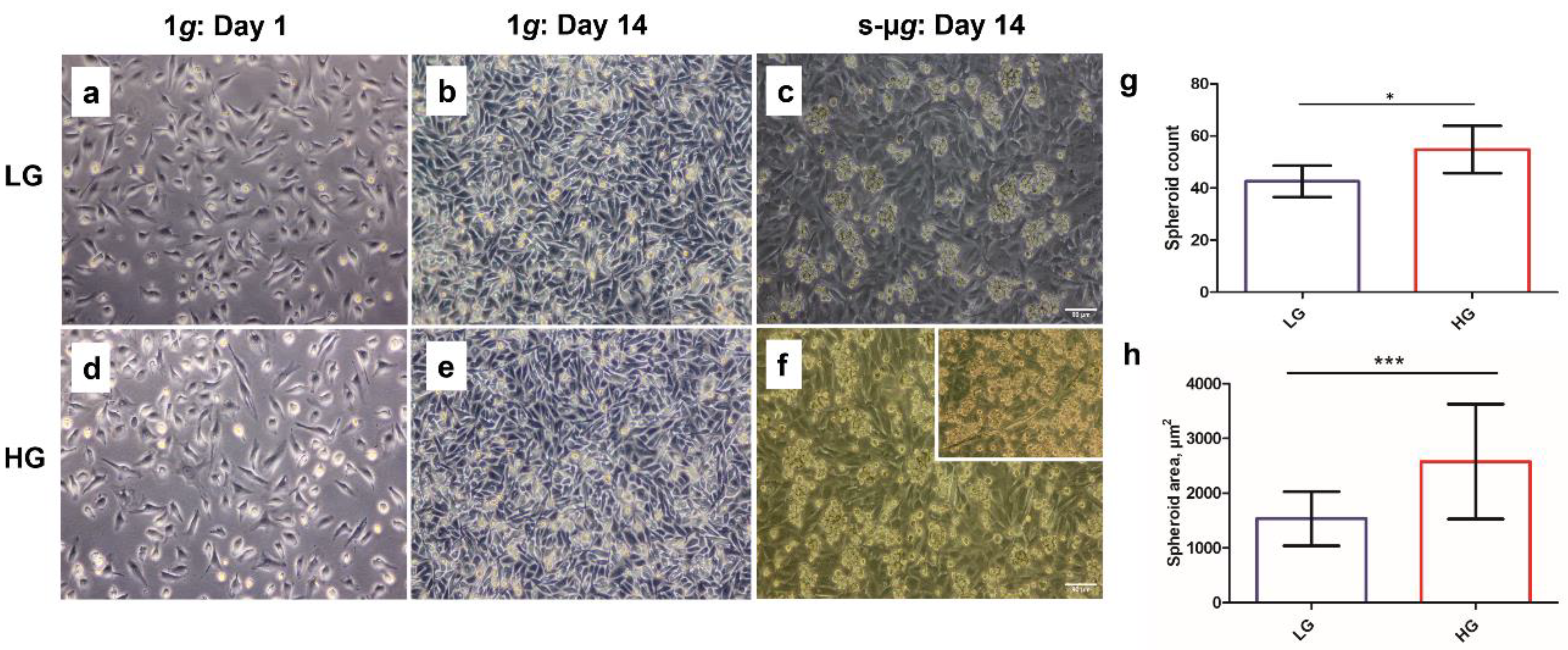 Biomolecules 13 00189 g001