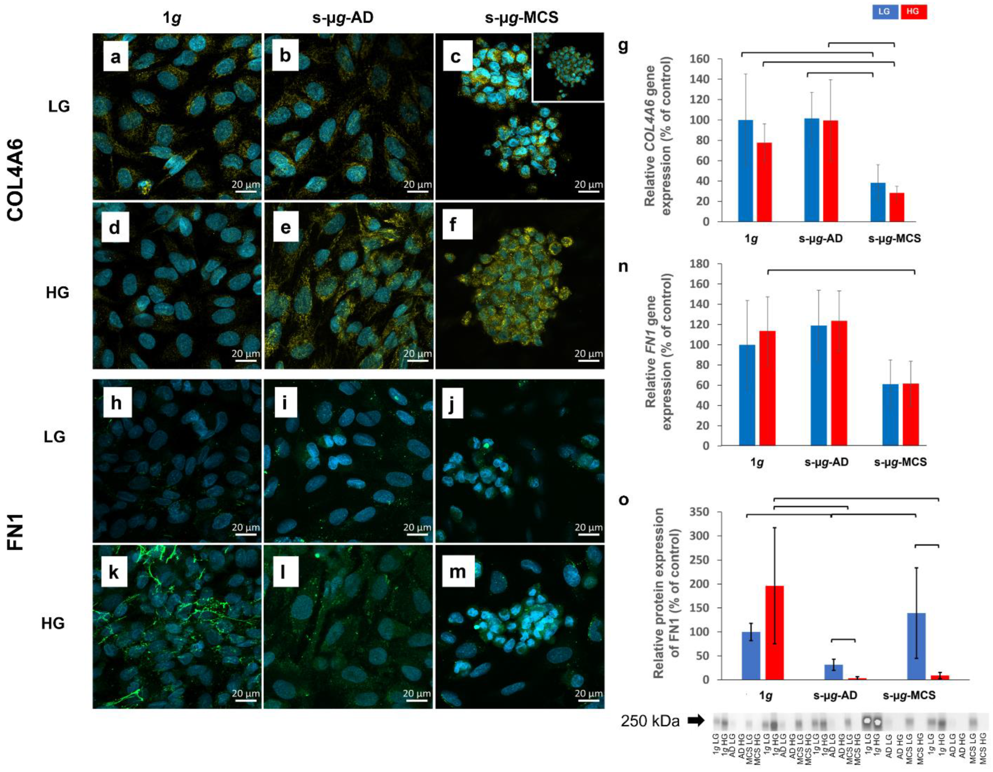 Biomolecules 13 00189 g002