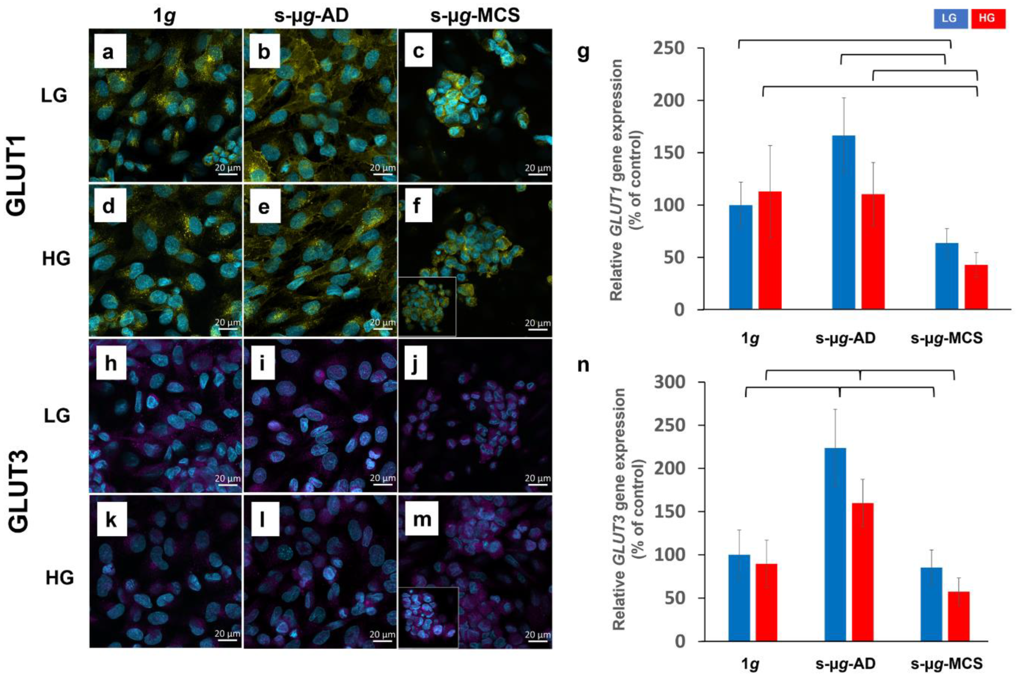 Biomolecules 13 00189 g003