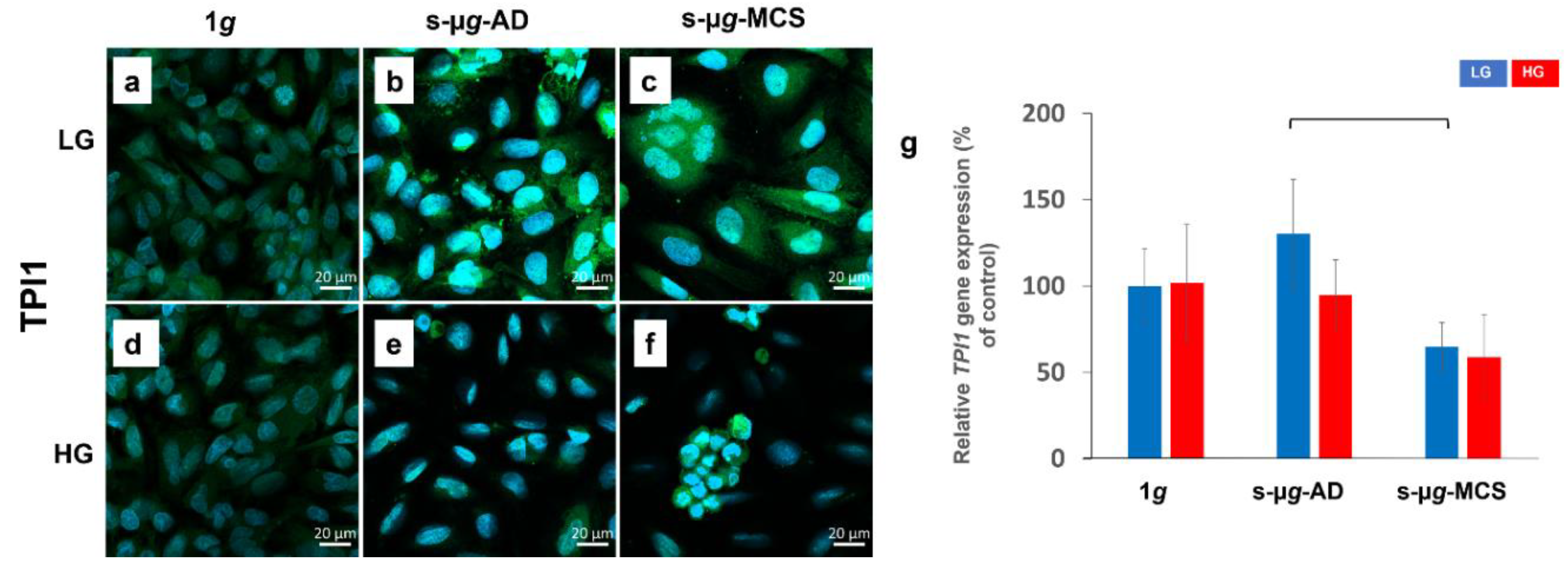 Biomolecules 13 00189 g004