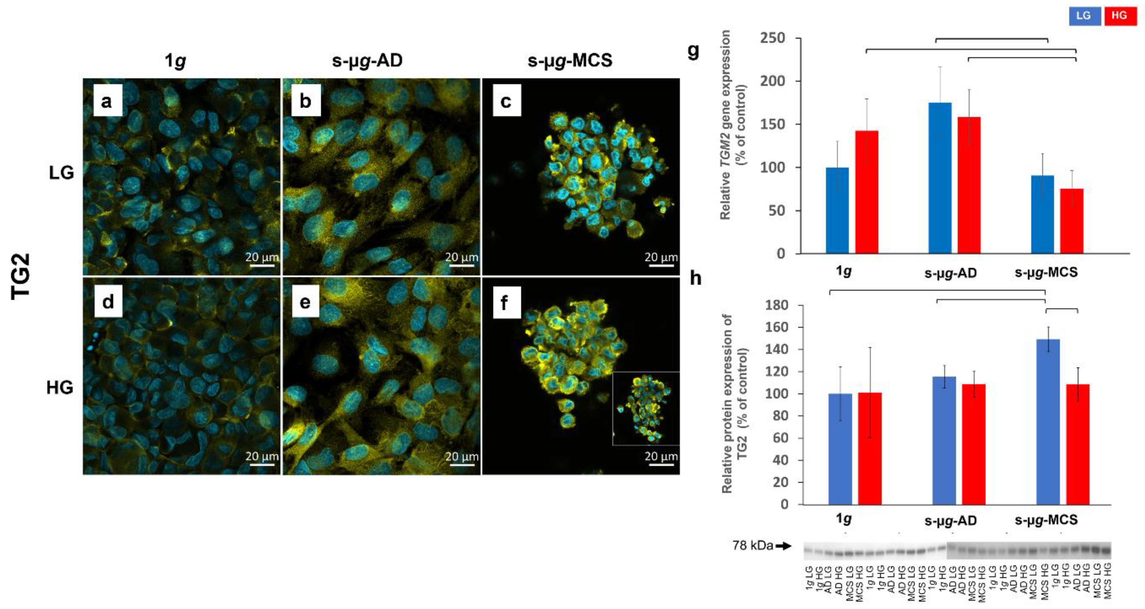 Biomolecules 13 00189 g005