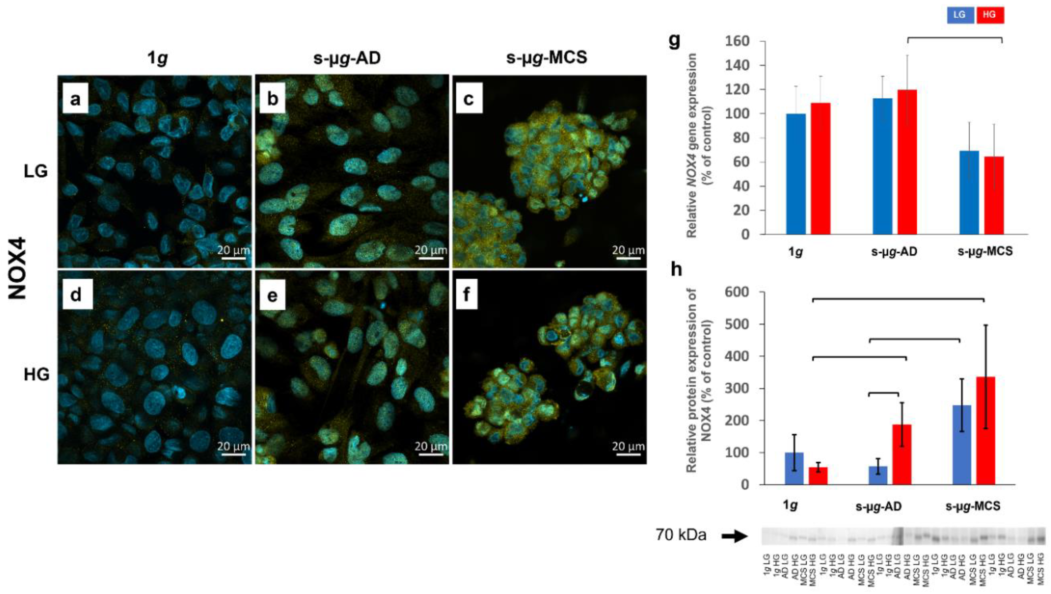 Biomolecules 13 00189 g006