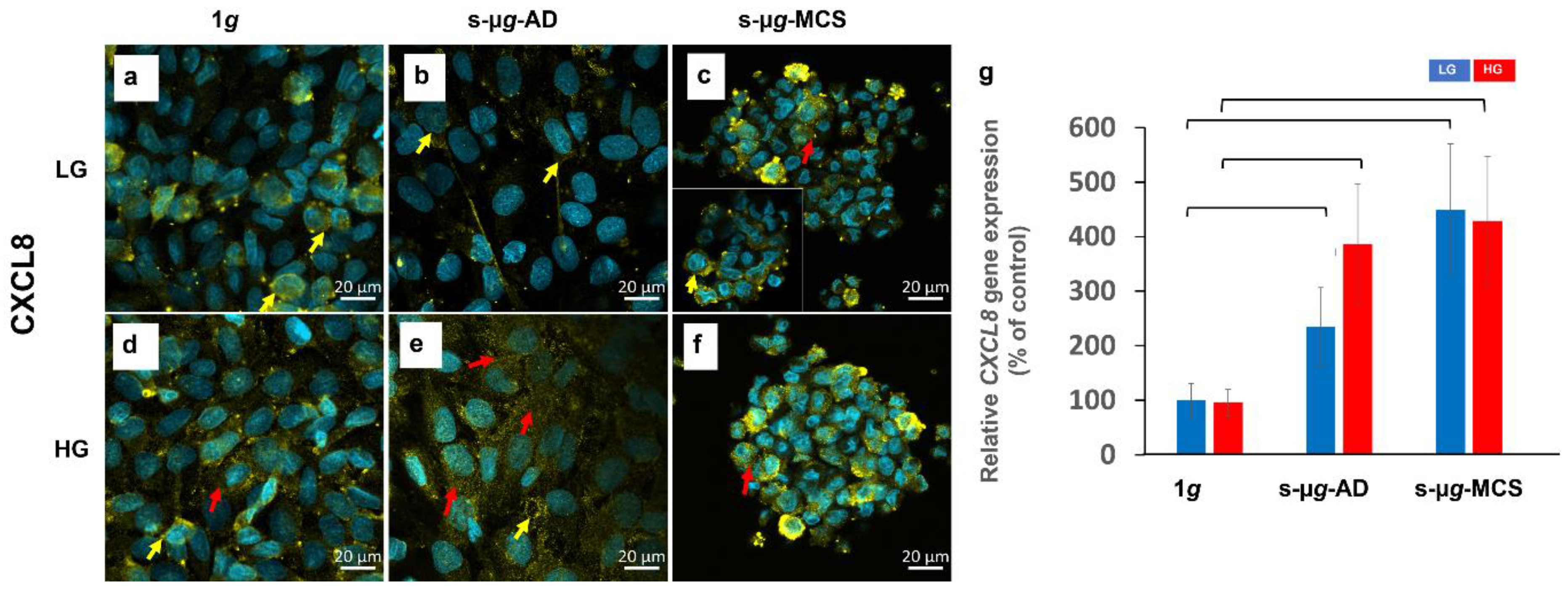 Biomolecules 13 00189 g007