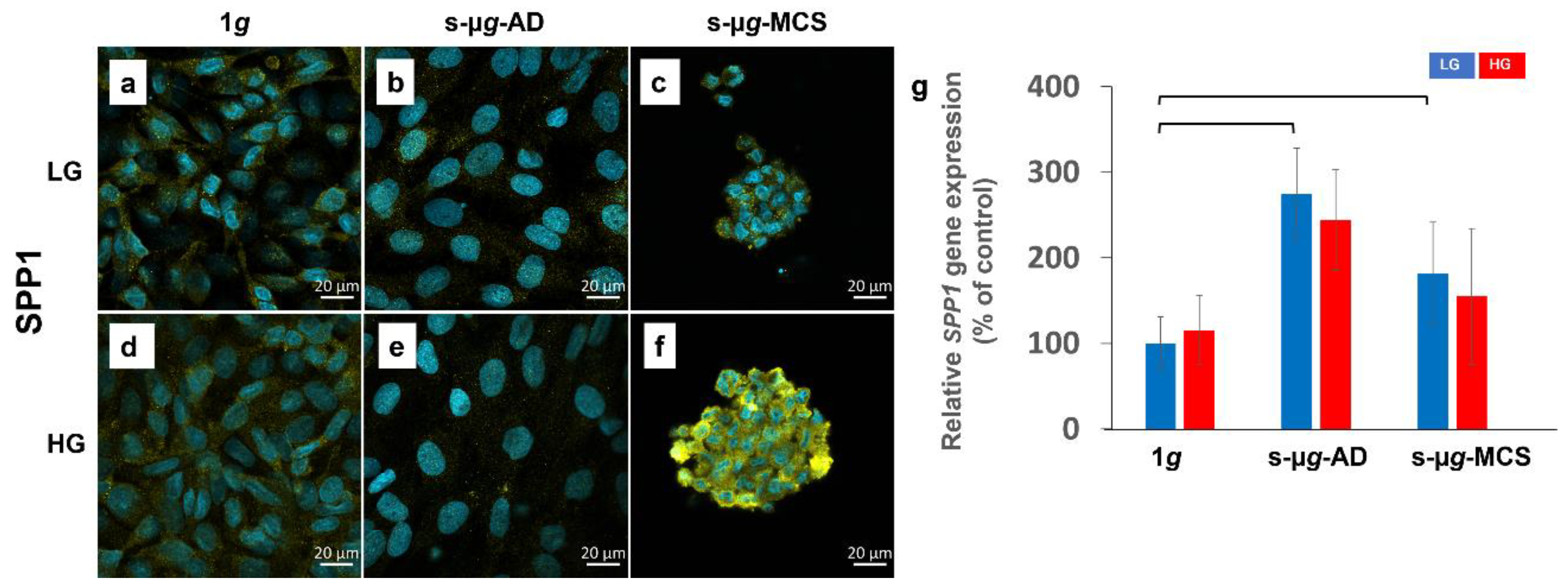 Biomolecules 13 00189 g008