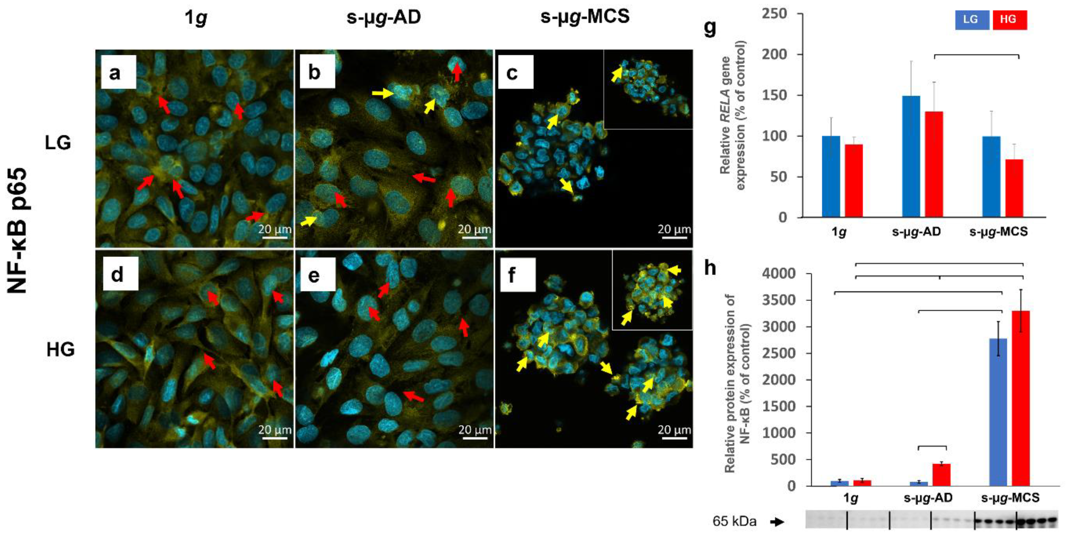 Biomolecules 13 00189 g009
