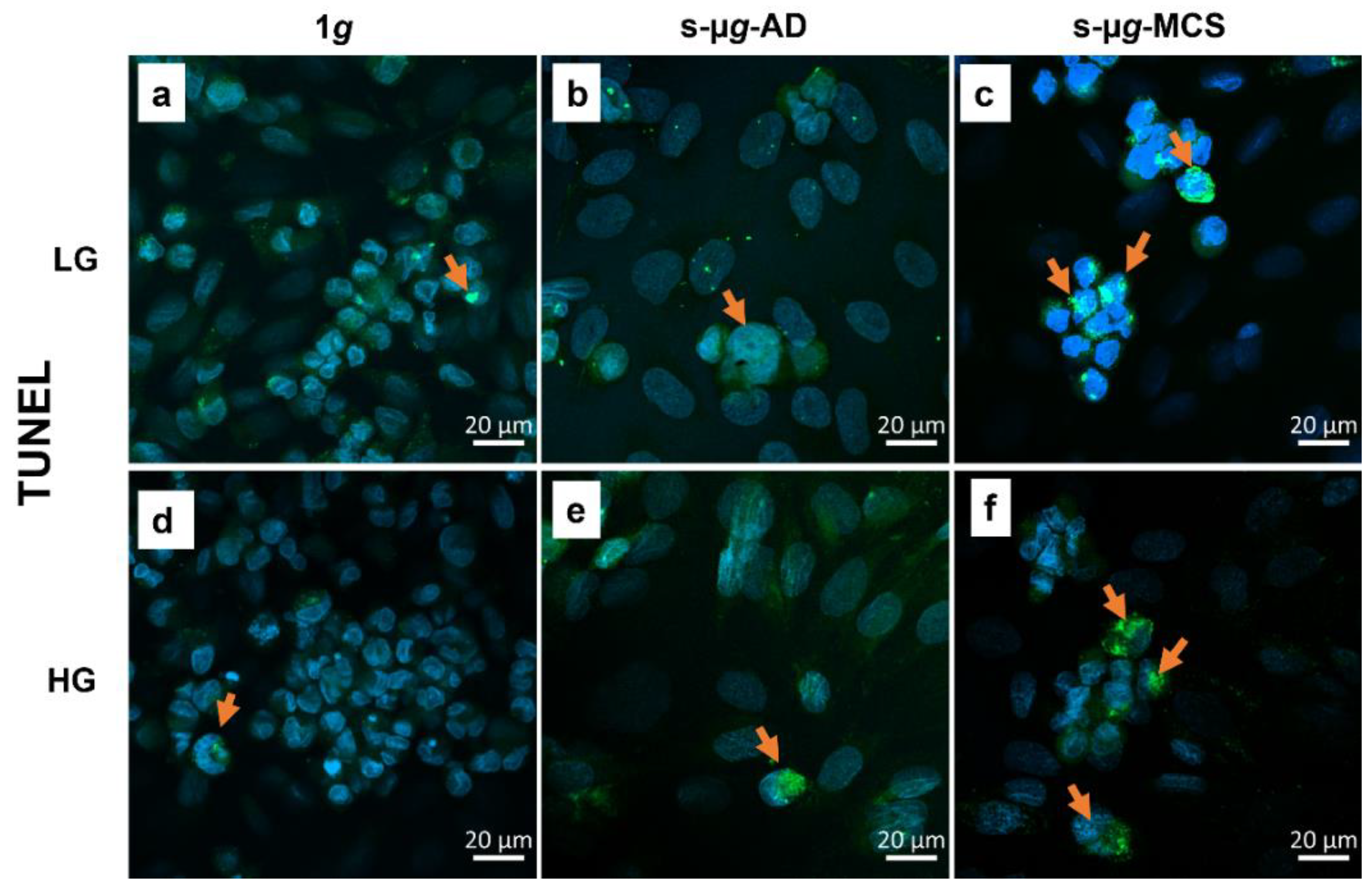 Biomolecules 13 00189 g011