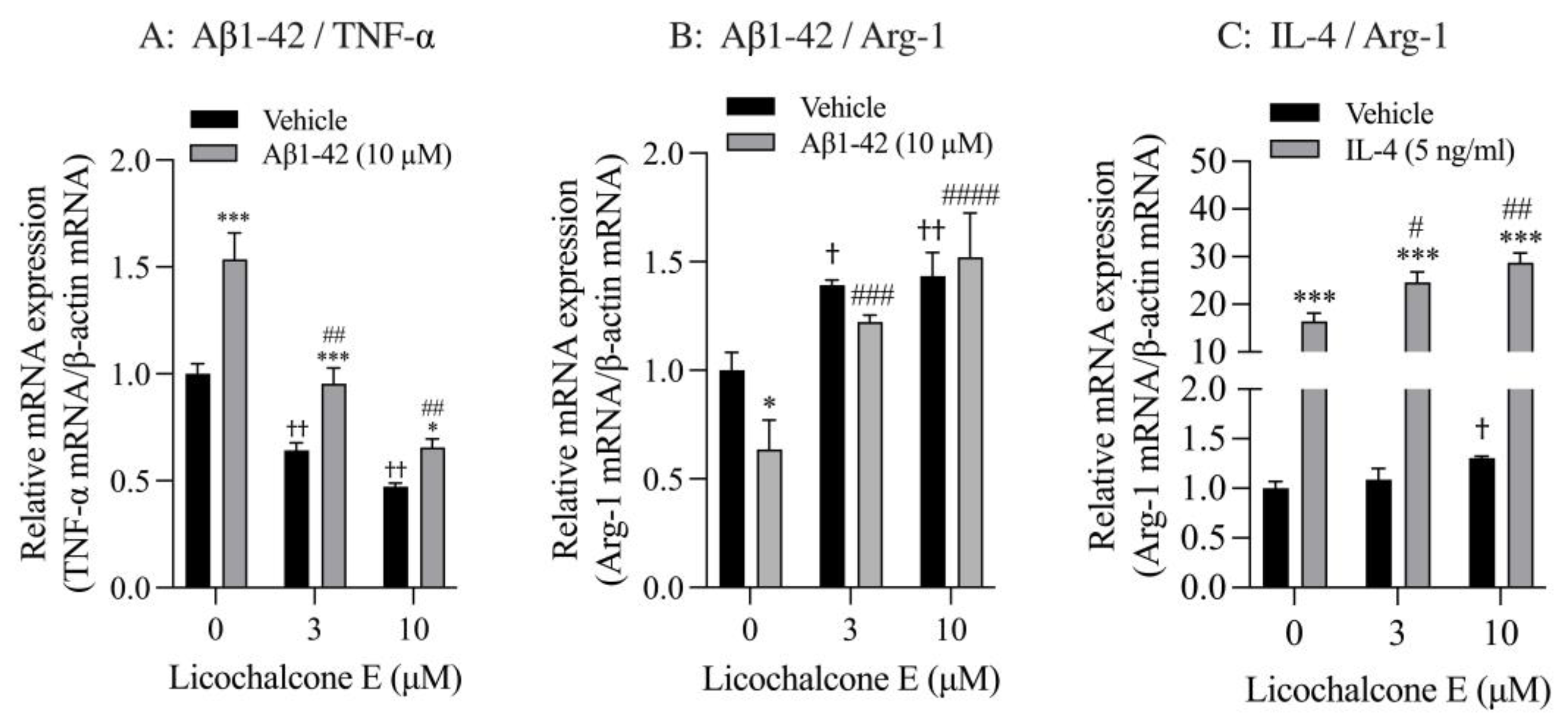 Biomolecules 13 00191 g006